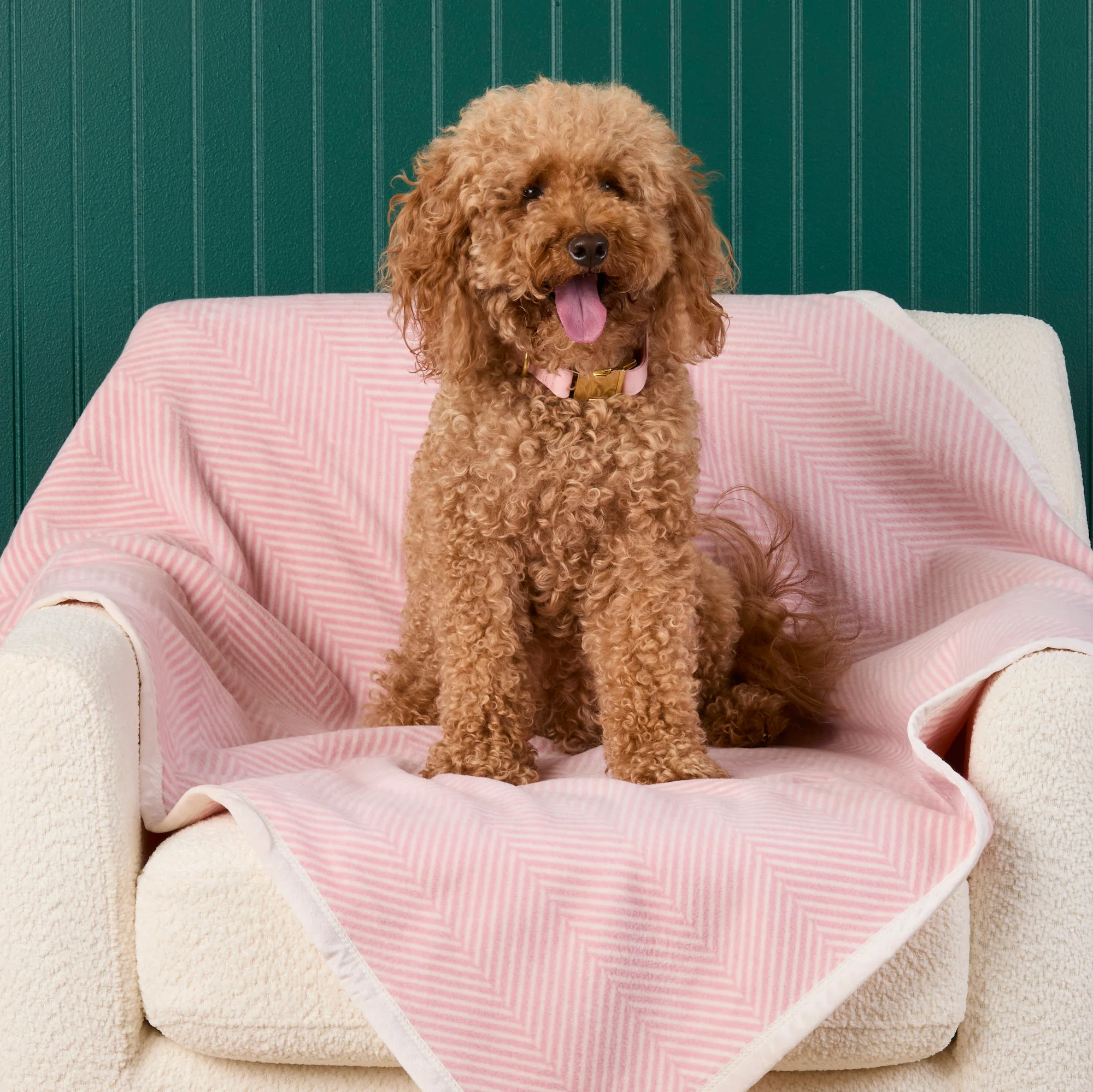 ChappyWrap Harborview Herringbone Blush Dog Blanket - Image 6