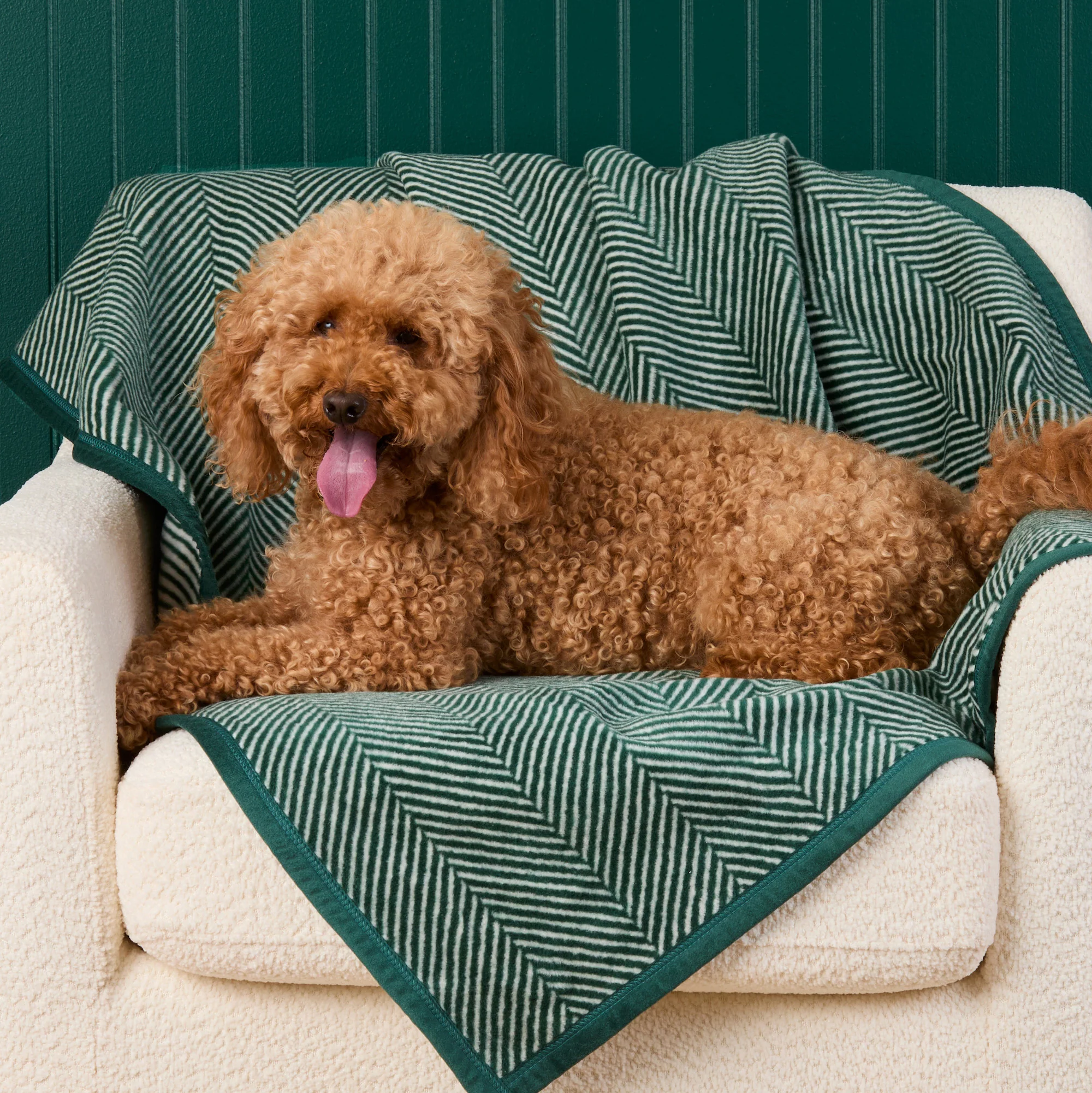 ChappyWrap Harborview Herringbone Evergreen Dog Blanket - Image 5