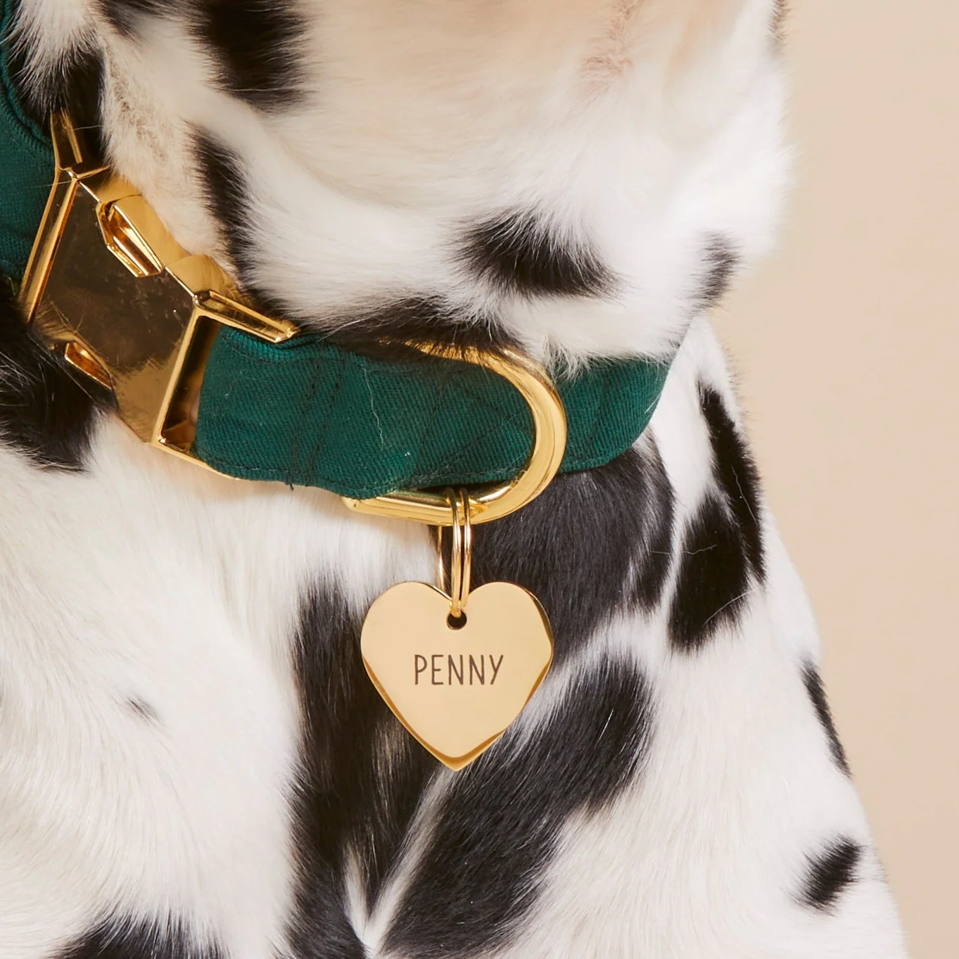 Heart Pet ID Tag - Image 11