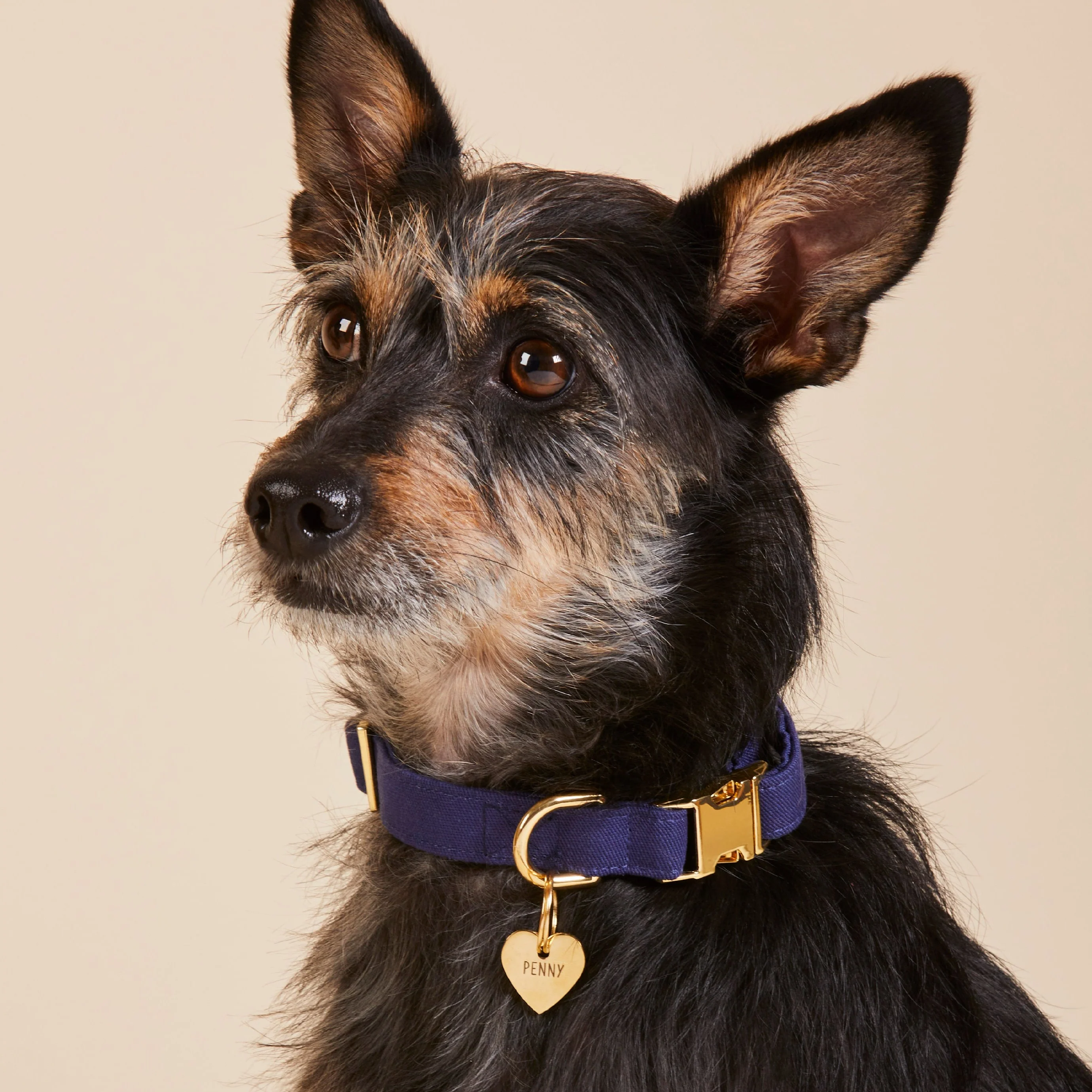 Heart Pet ID Tag - Image 12