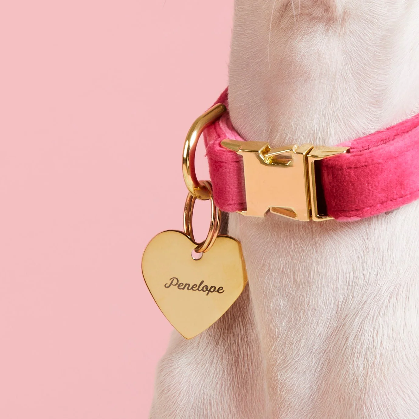 Heart Pet ID Tag - Image 4
