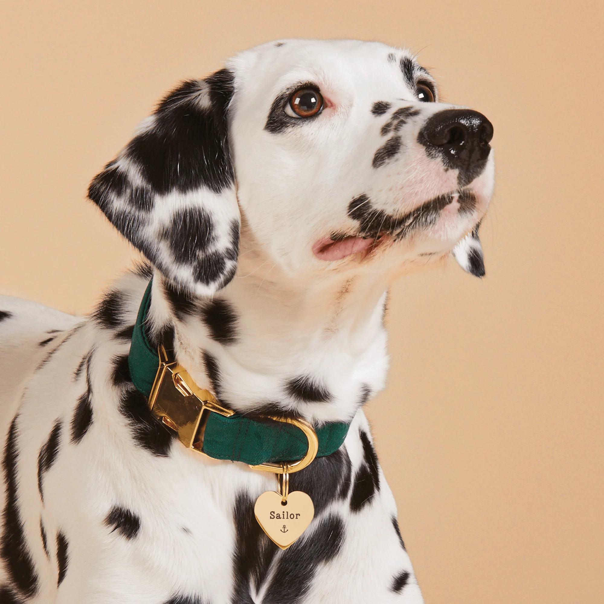 Heart Pet ID Tag: Anchor Icon - Image 5