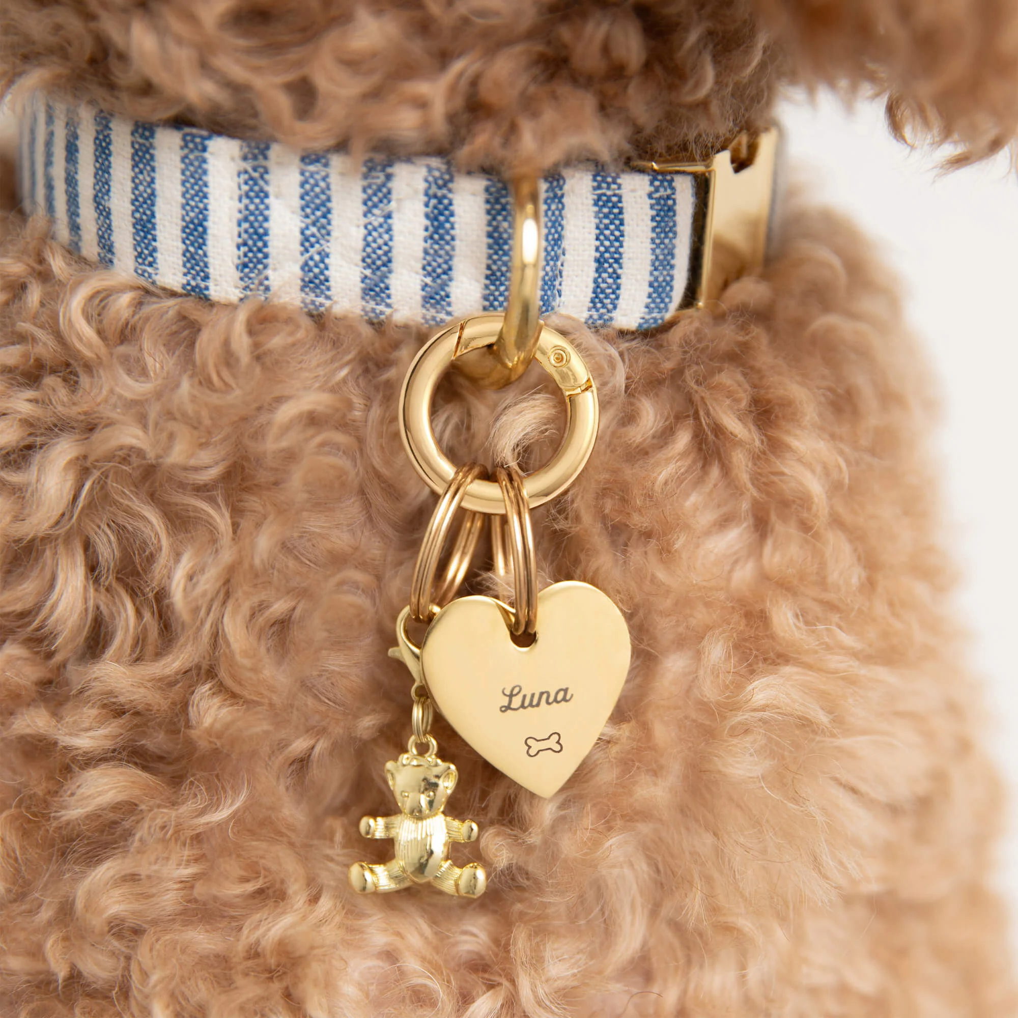 Heart Pet ID Tag: Bone Icon - Image 4