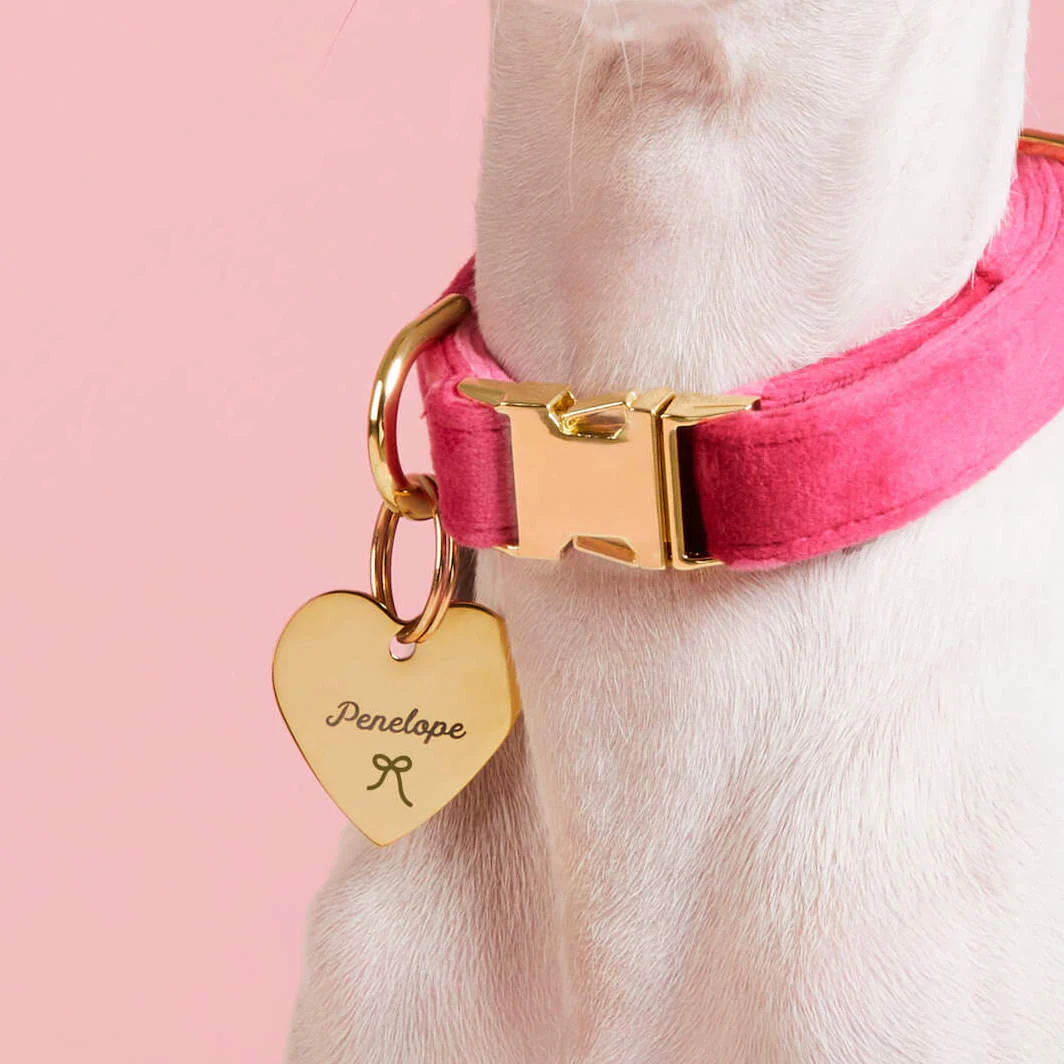Heart Pet ID Tag: Bow Icon - Image 4