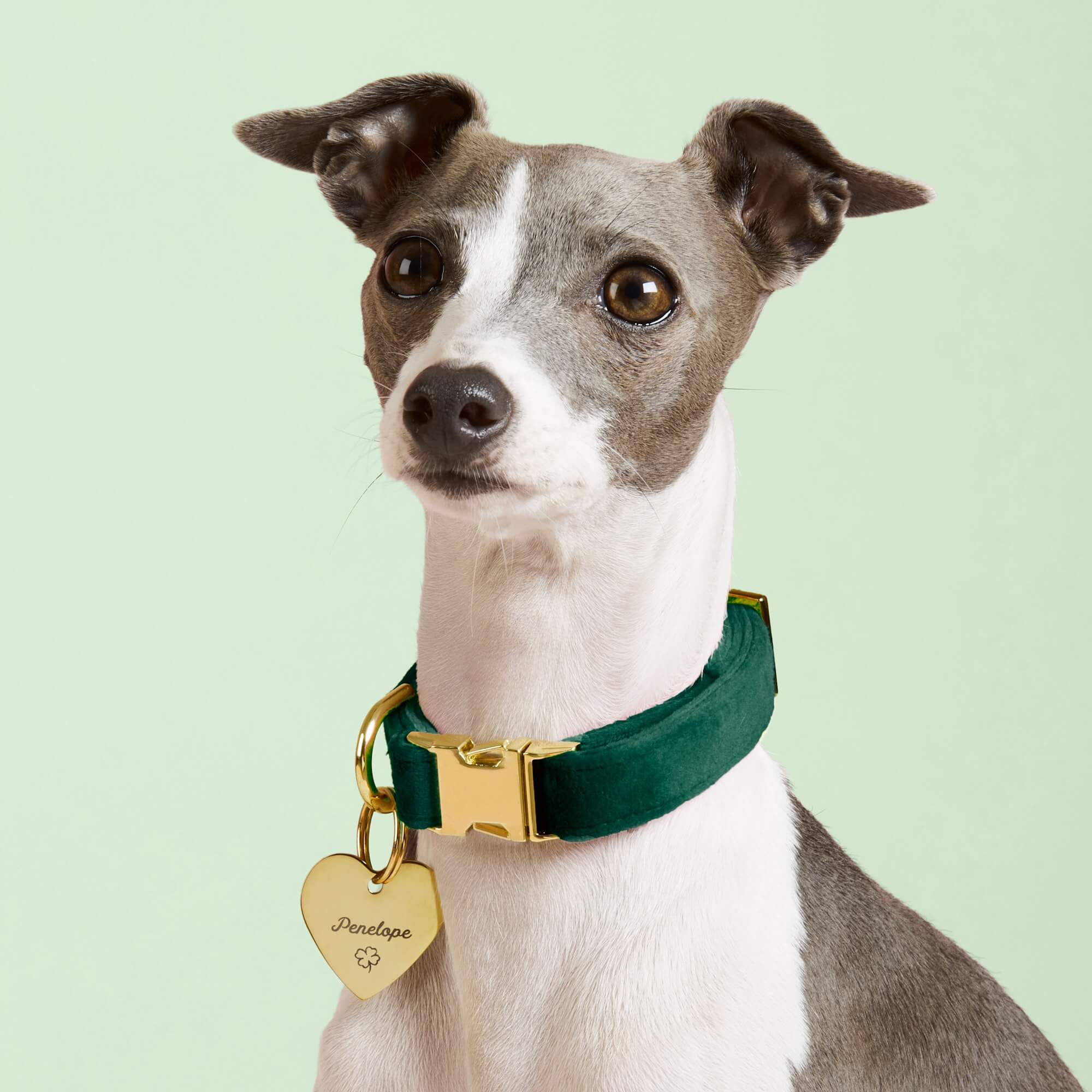 Heart Pet ID Tag: Clover Icon - Image 4