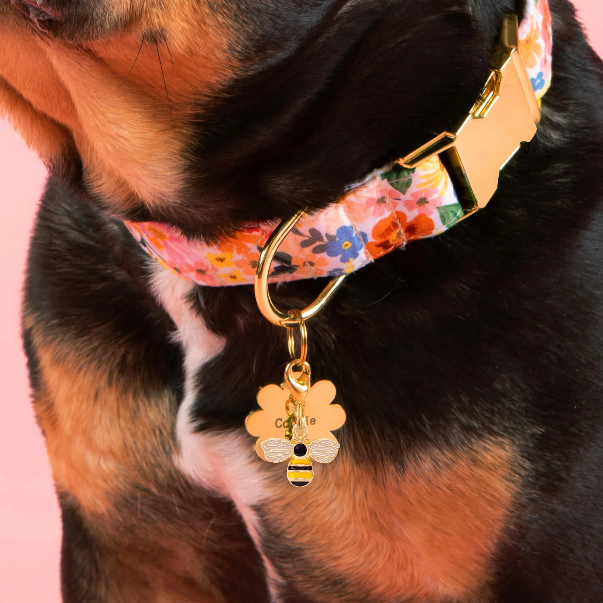 Honey Bee Collar Charm - Image 3