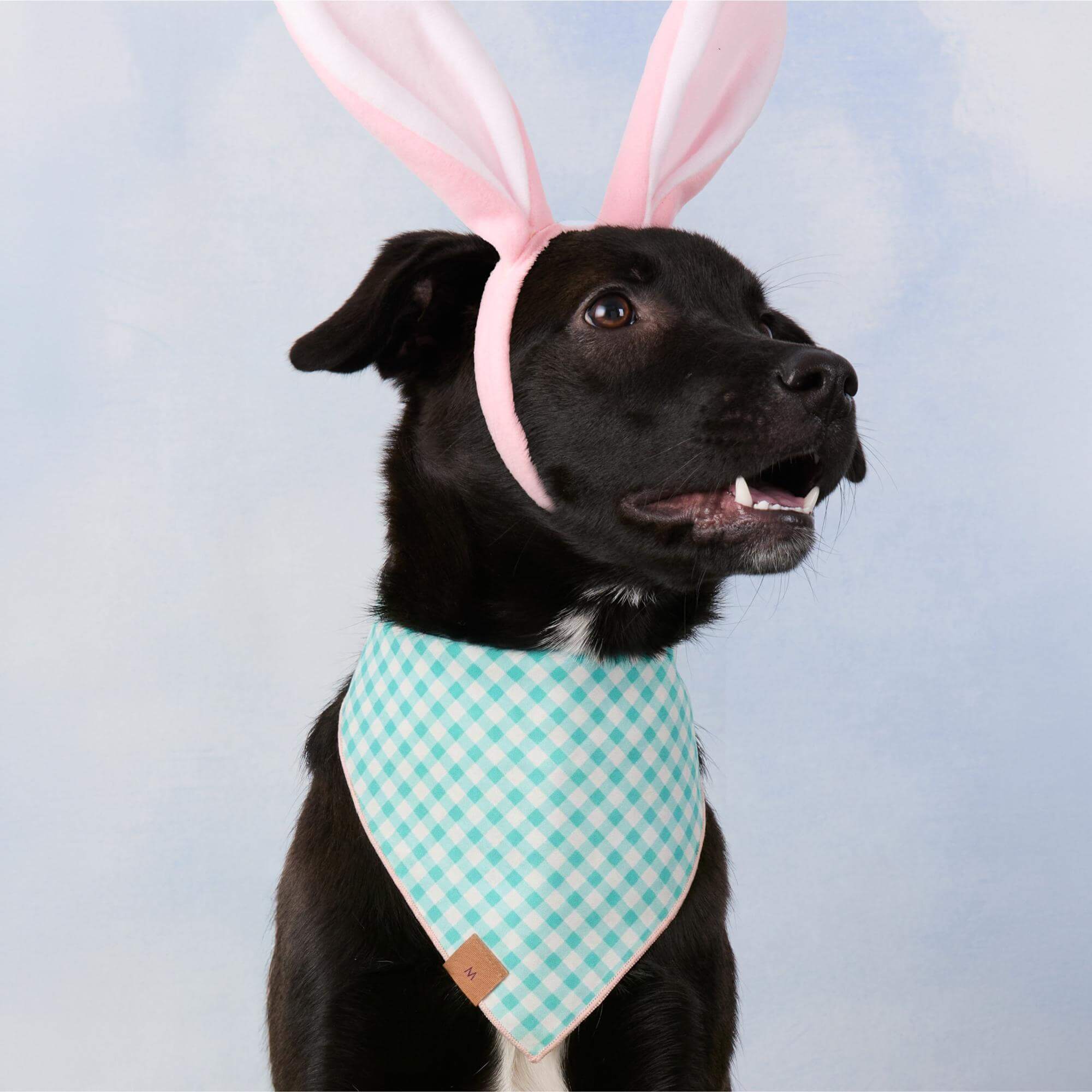 Hoppy Easter Reversible Dog Bandana - Image 3