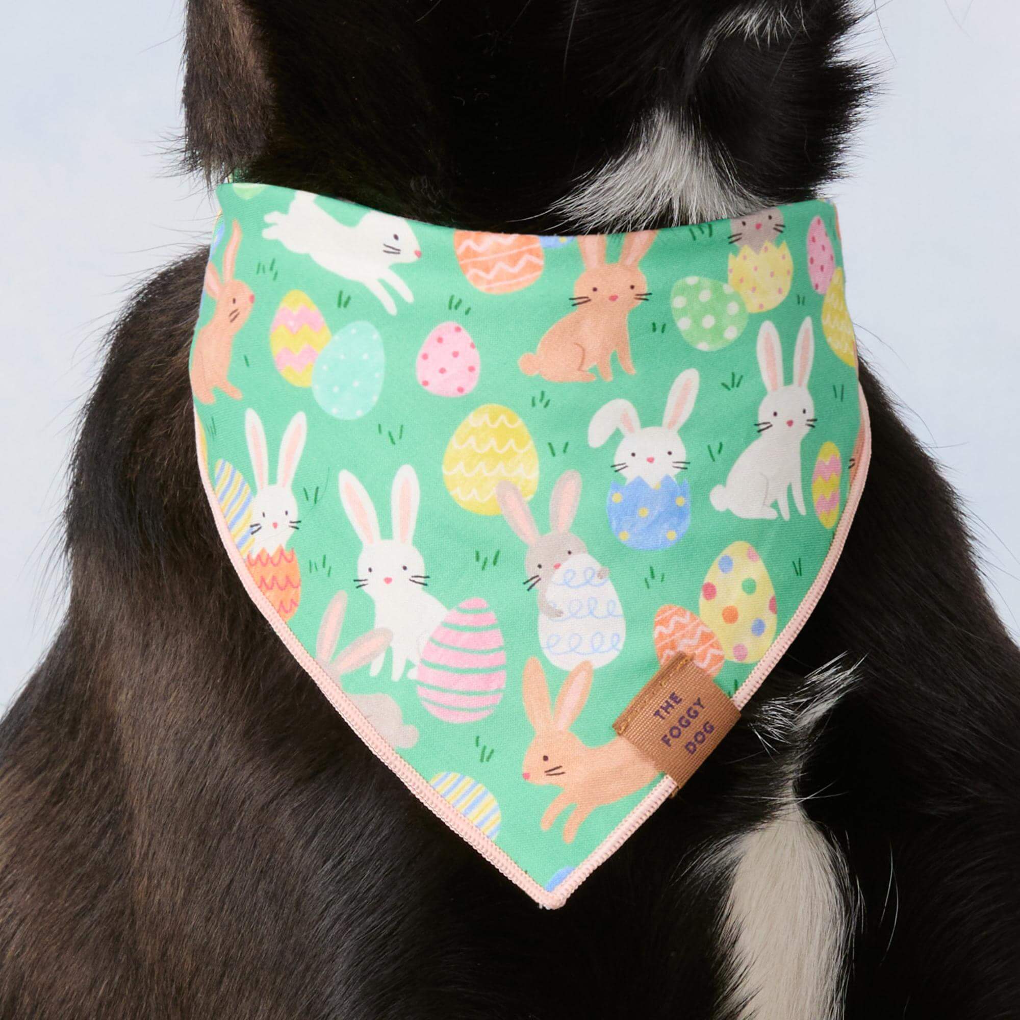 Hoppy Easter Reversible Dog Bandana - Image 4