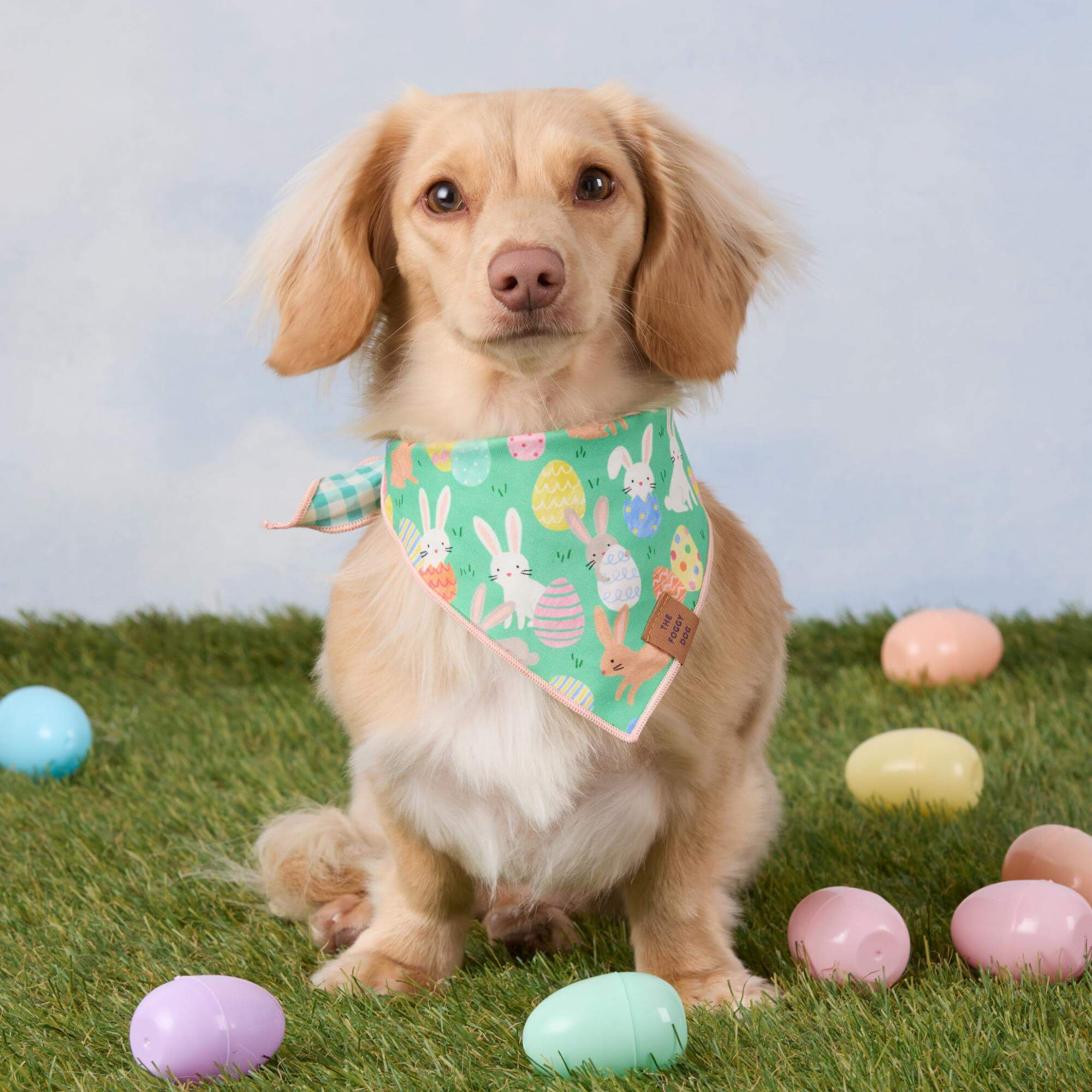 Hoppy Easter Reversible Dog Bandana - Image 5