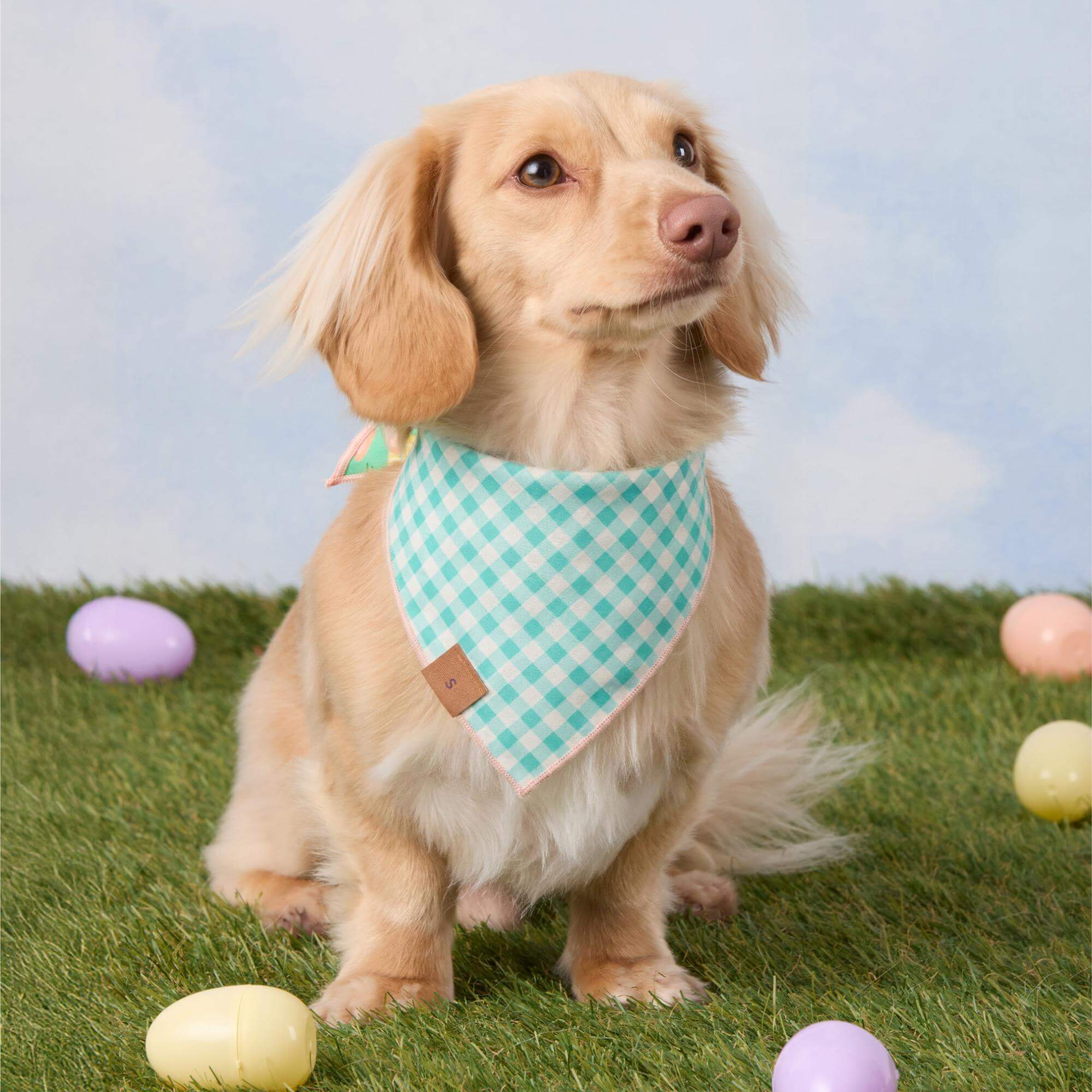 Hoppy Easter Reversible Dog Bandana - Image 6