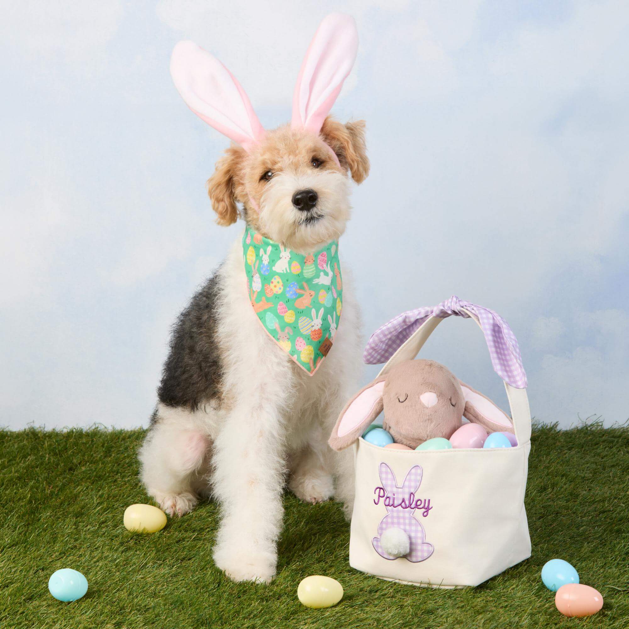 Hoppy Easter Reversible Dog Bandana - Image 8