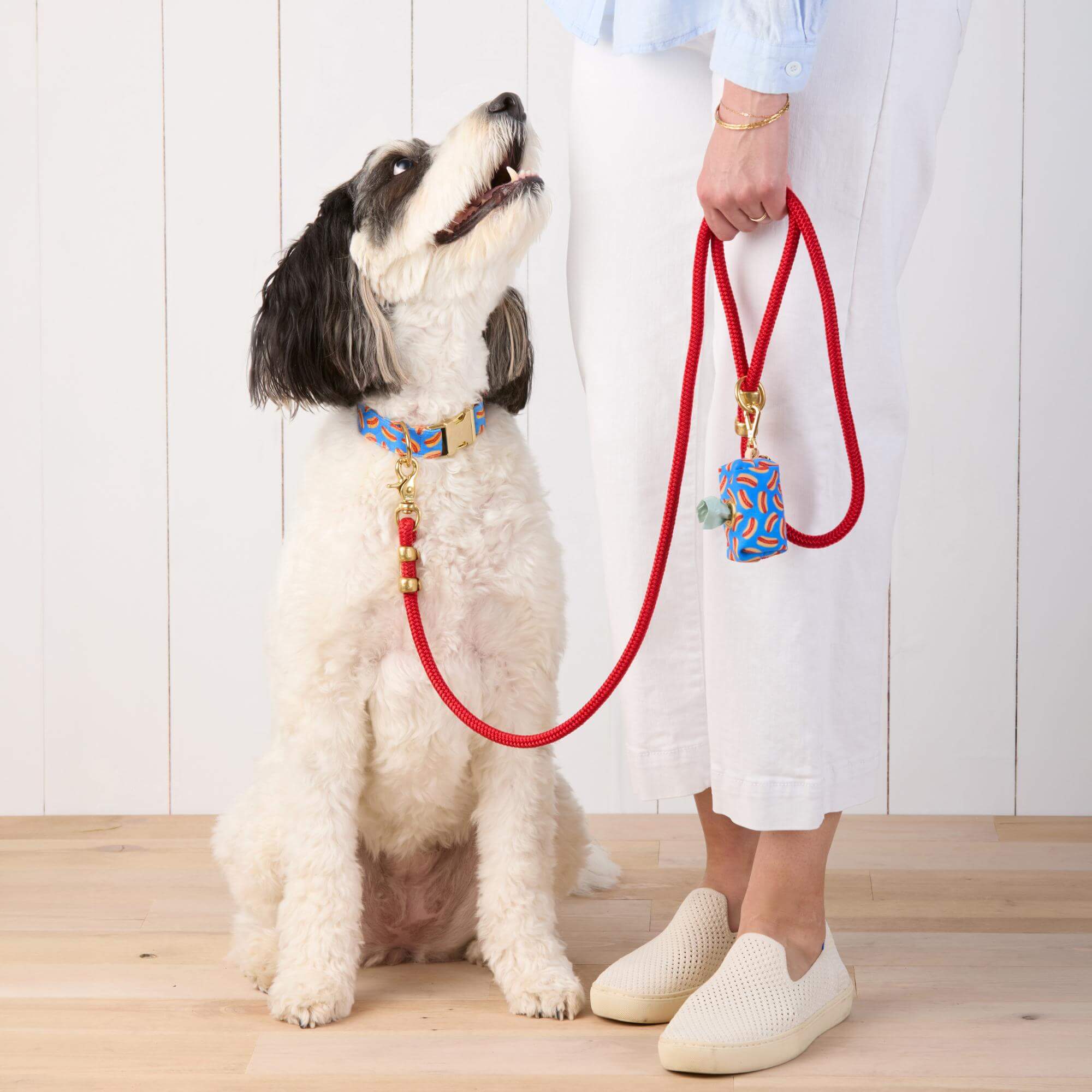 Hot Diggity Collar Walk Set - Image 4