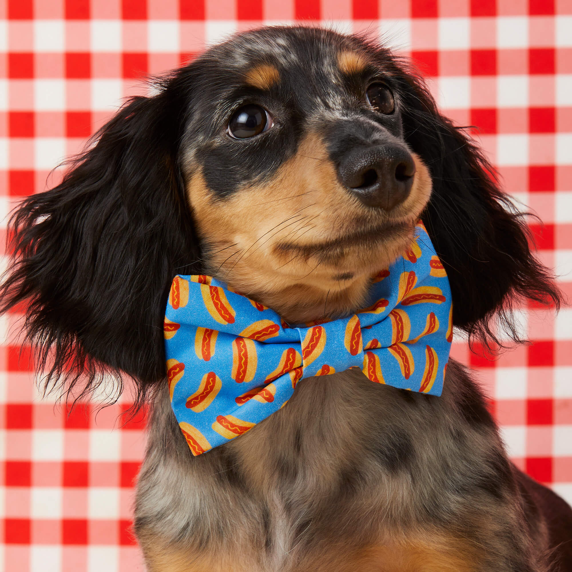 Hot Diggity Dog Bow Tie - Image 4