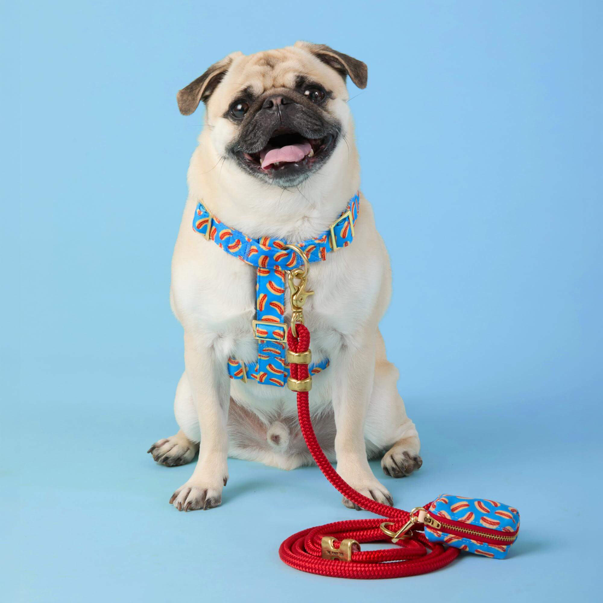 Hot Diggity Dog Harness - Image 4