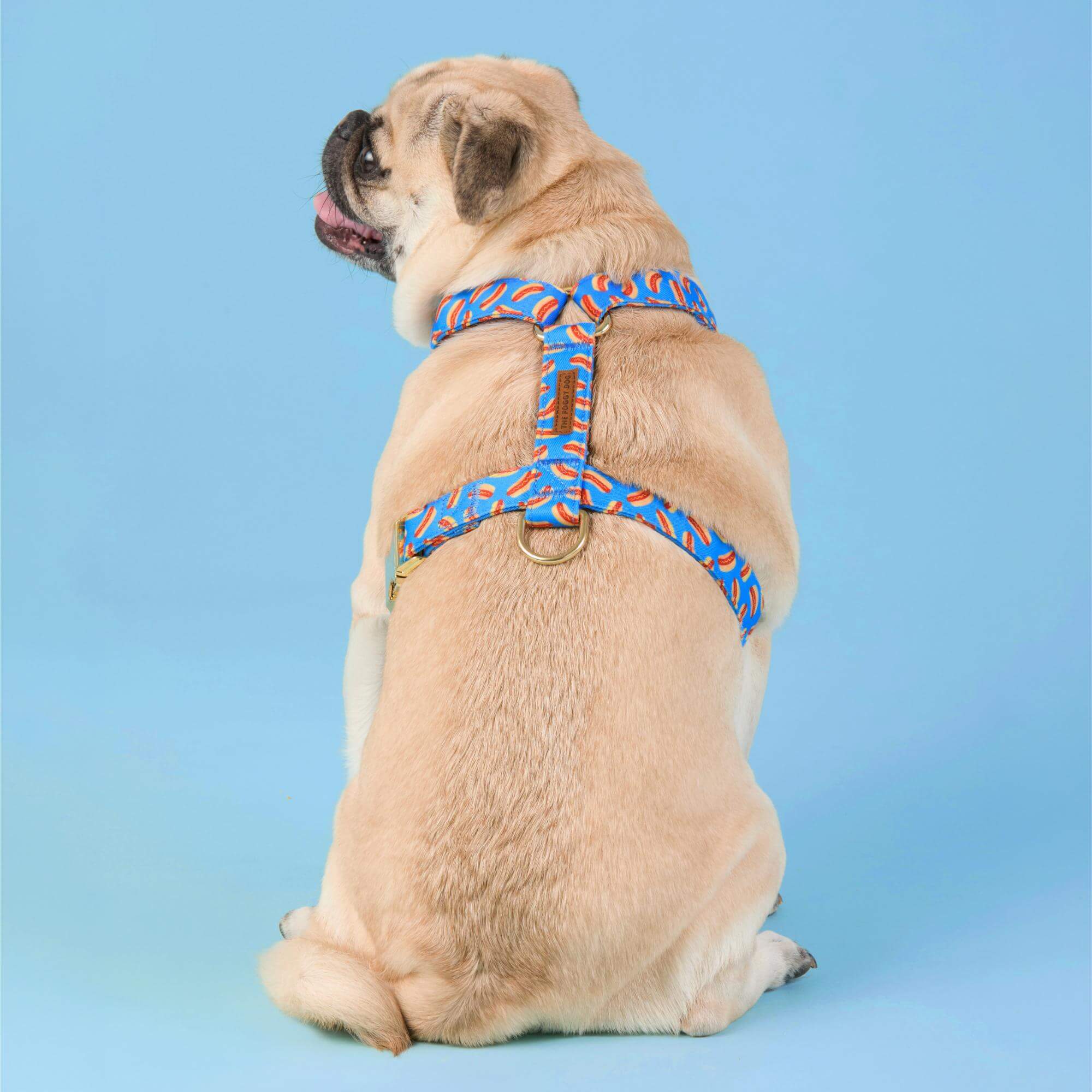 Hot Diggity Dog Harness - Image 5