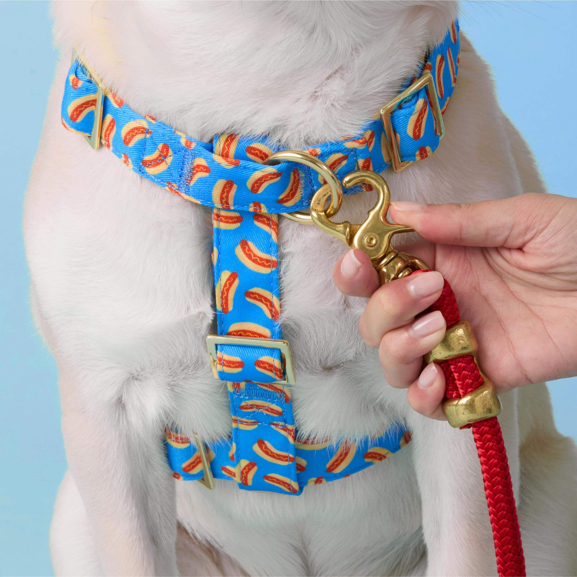 Hot Diggity Dog Harness - Image 6