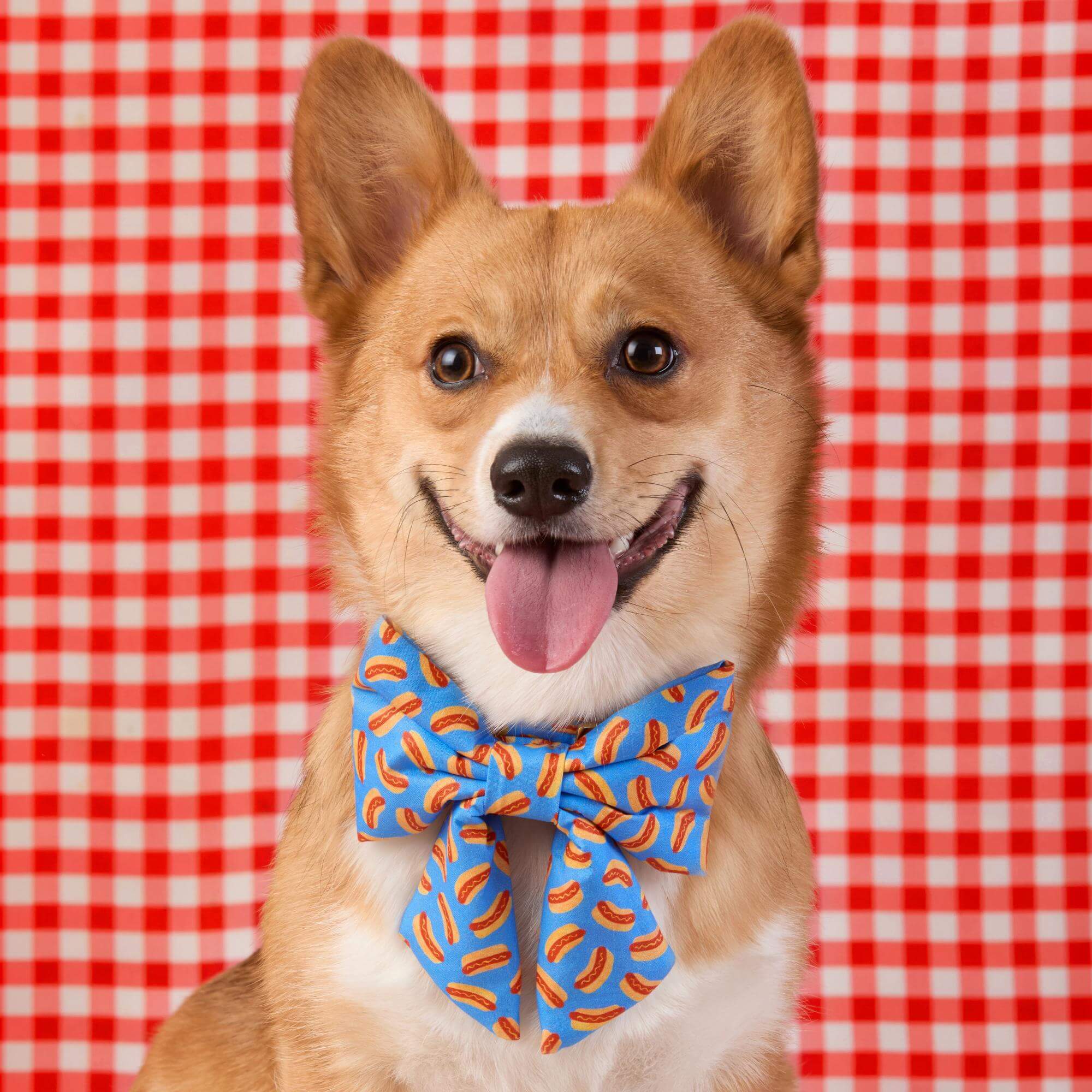 Hot Diggity Lady Dog Bow - Image 3