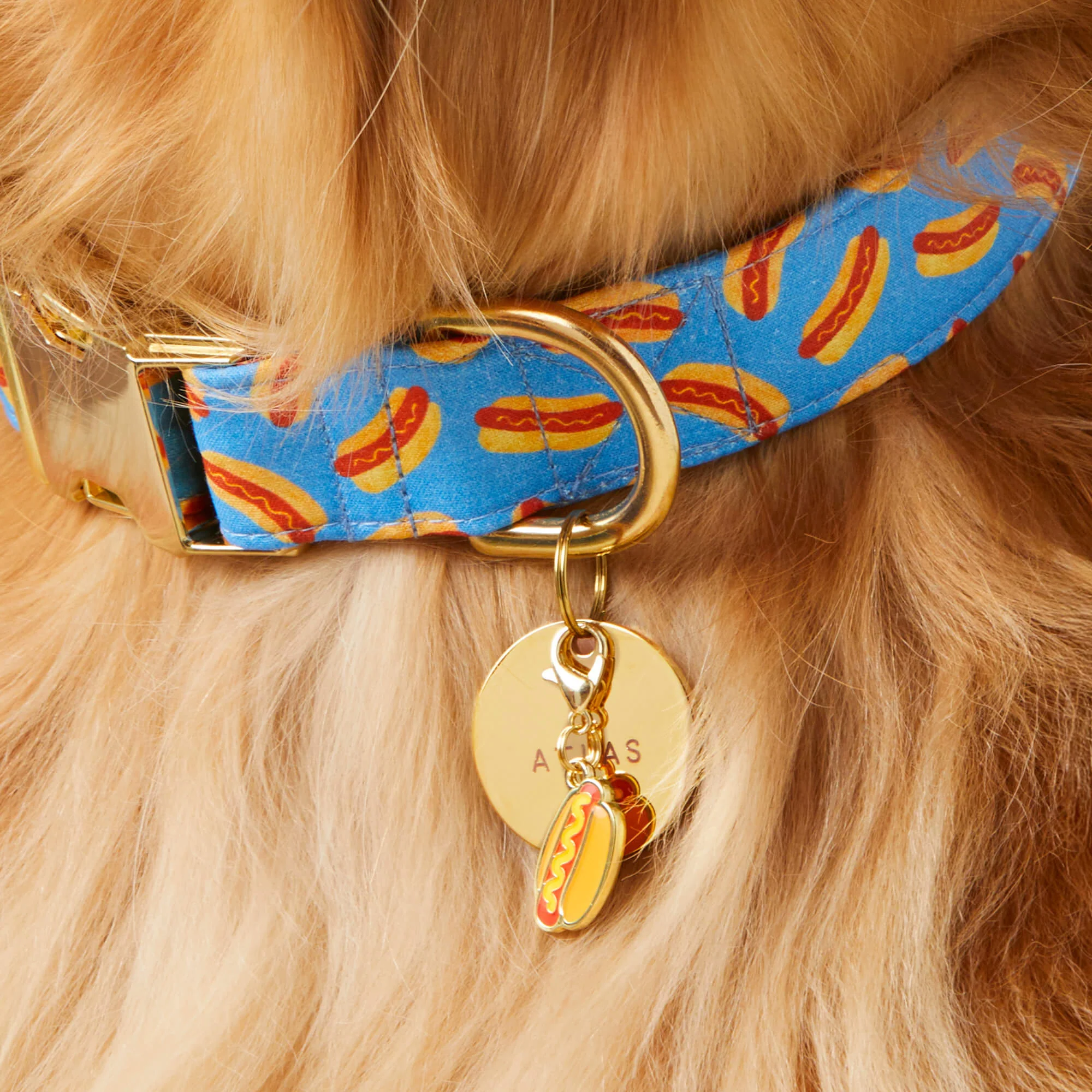 Hot Dog Collar Charm - Image 2