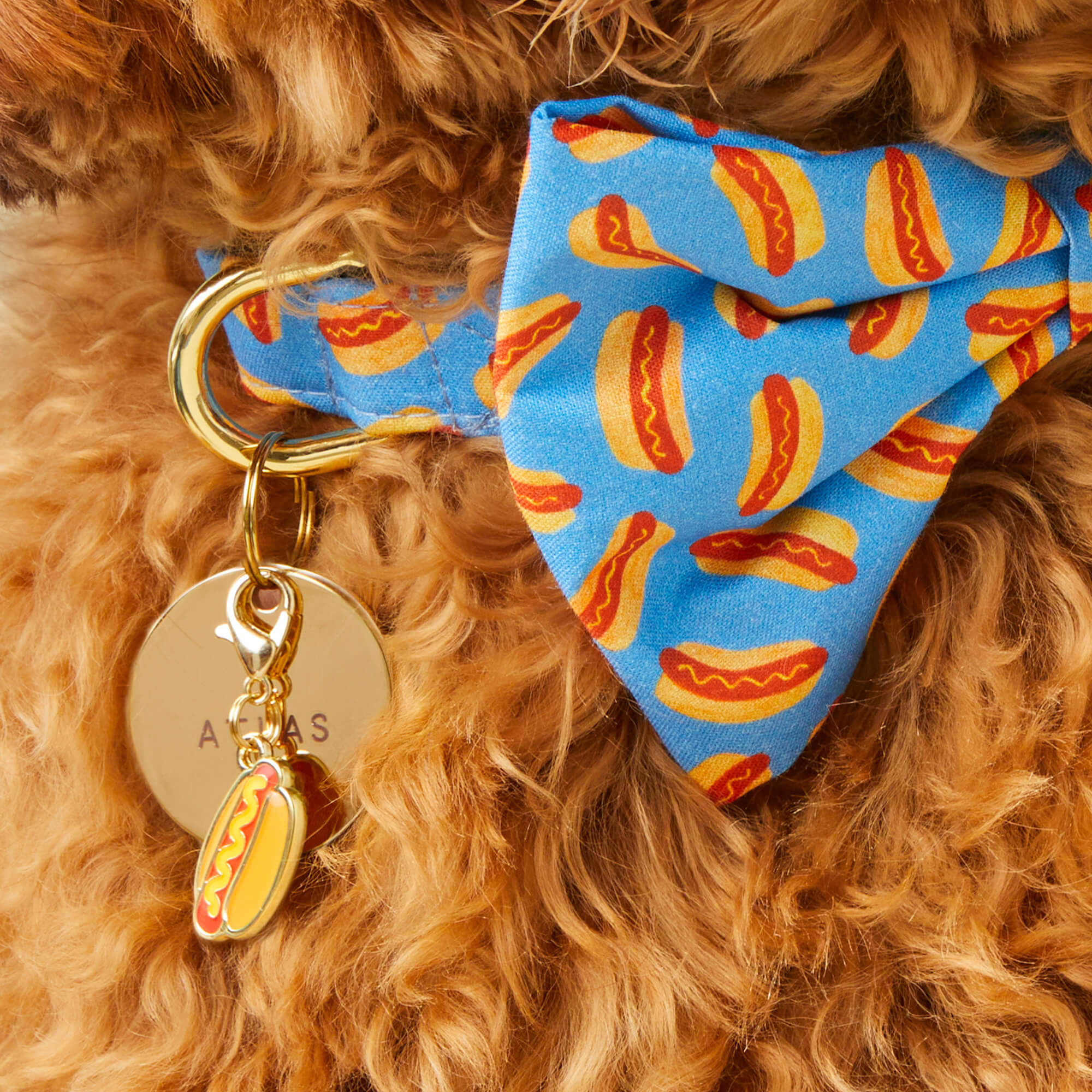 Hot Dog Collar Charm - Image 3