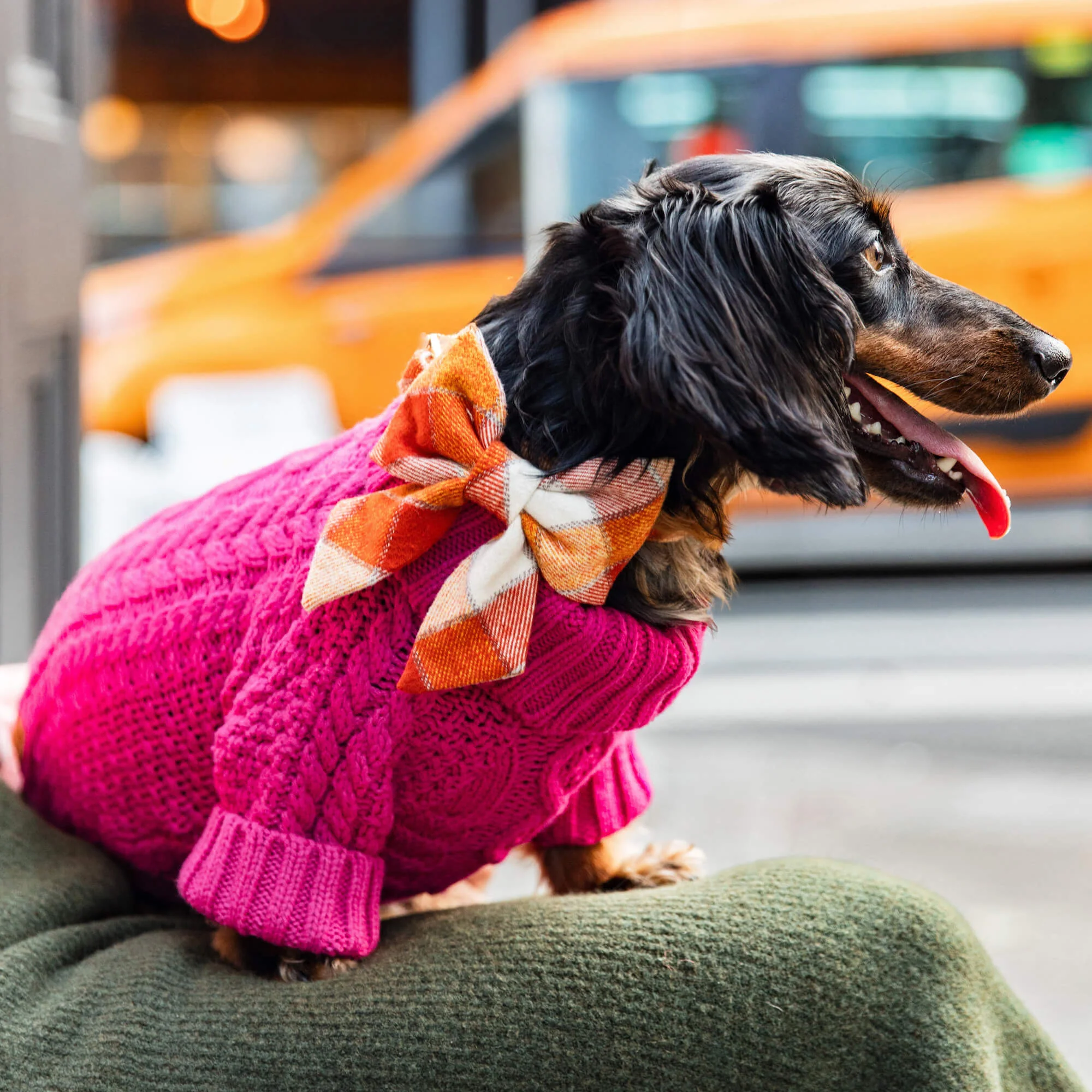 Hot Pink Cable Knit Dog Sweater - Image 11