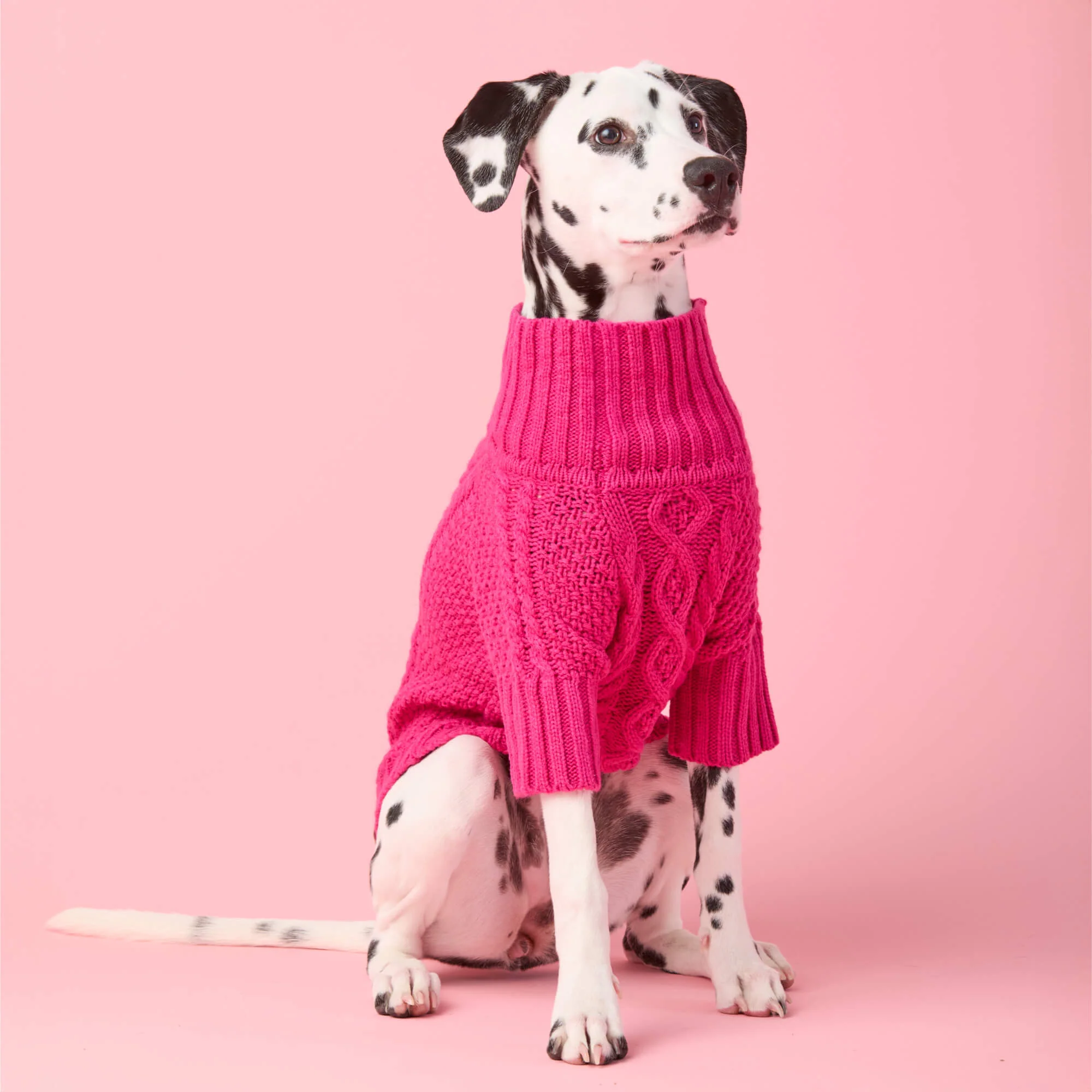 Hot Pink Cable Knit Dog Sweater - Image 4