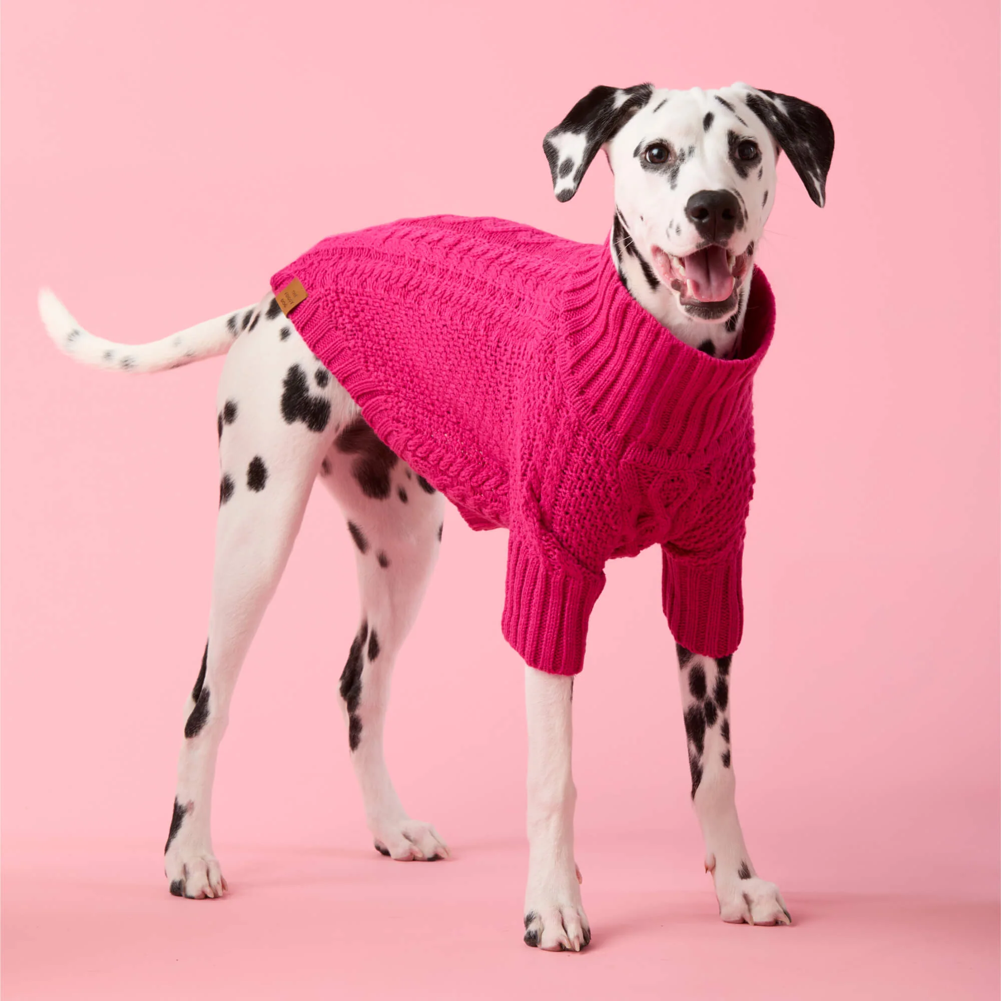 Hot Pink Cable Knit Dog Sweater - Image 5