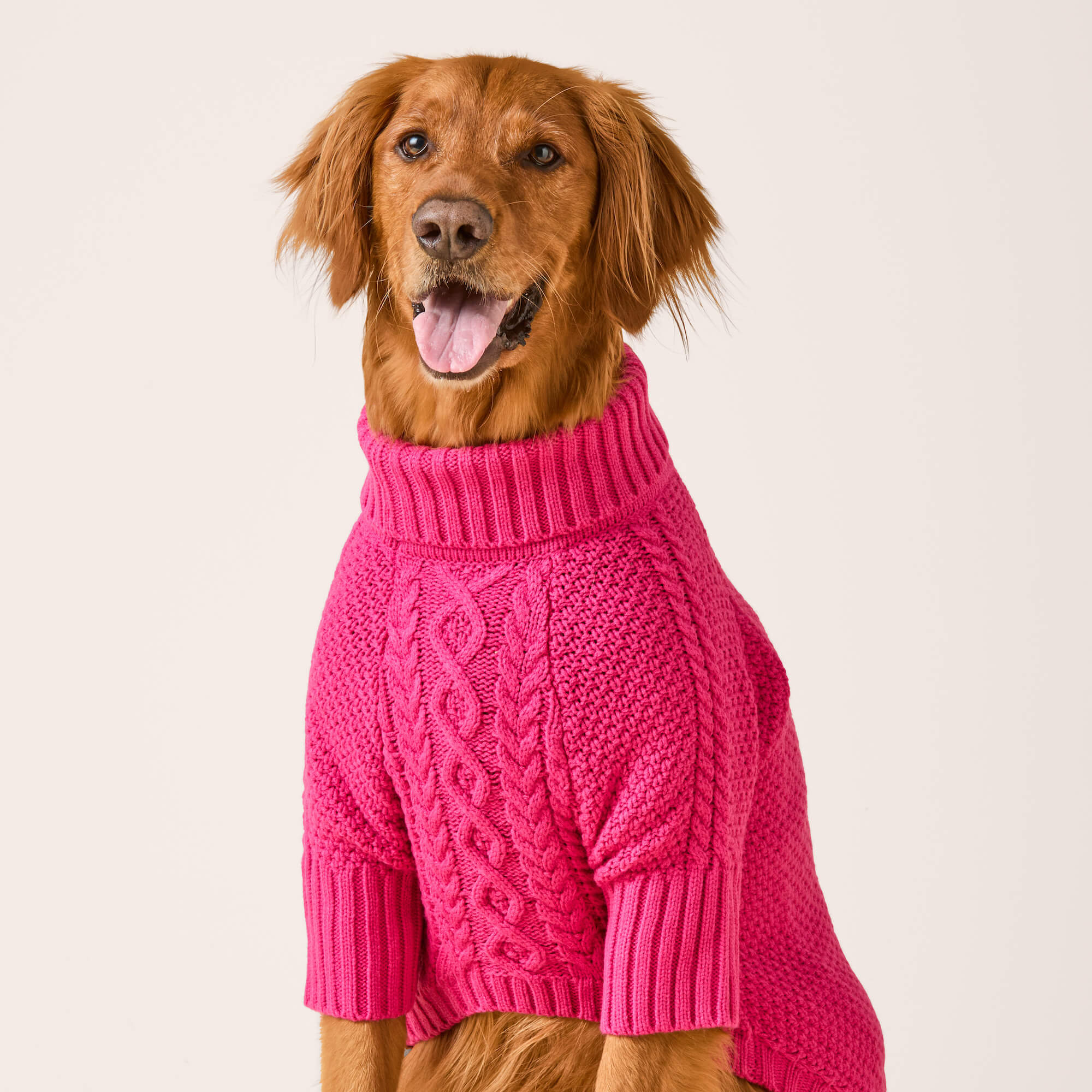 Hot Pink Cable Knit Dog Sweater - Image 6