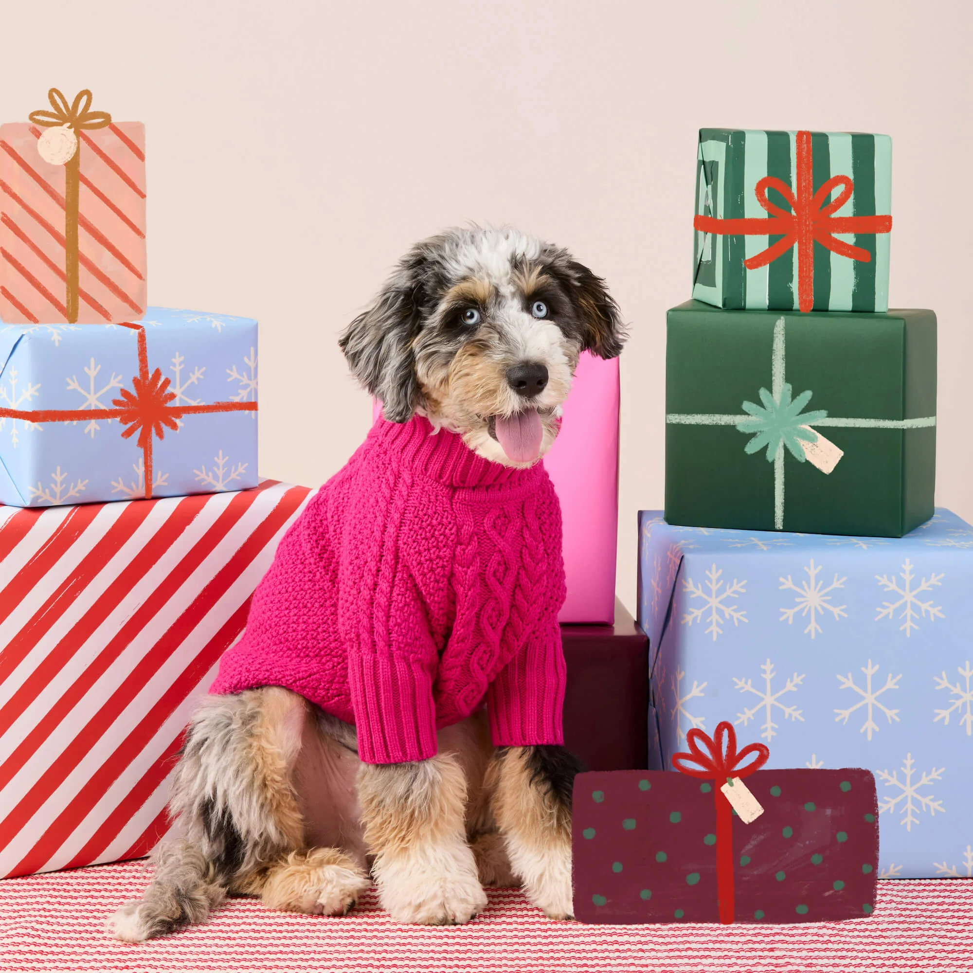 Hot Pink Cable Knit Dog Sweater - Image 7