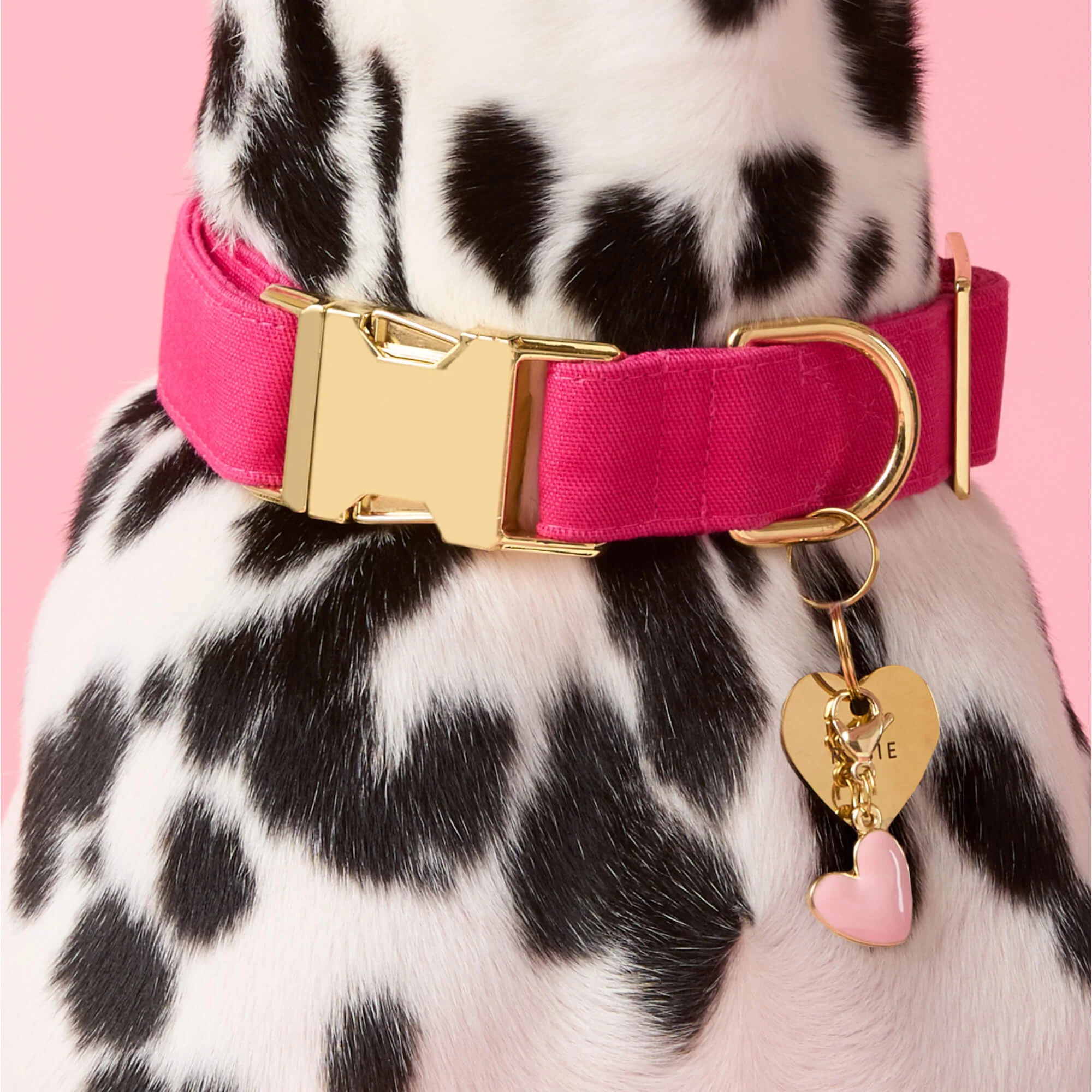Hot Pink Dog Collar - Image 5