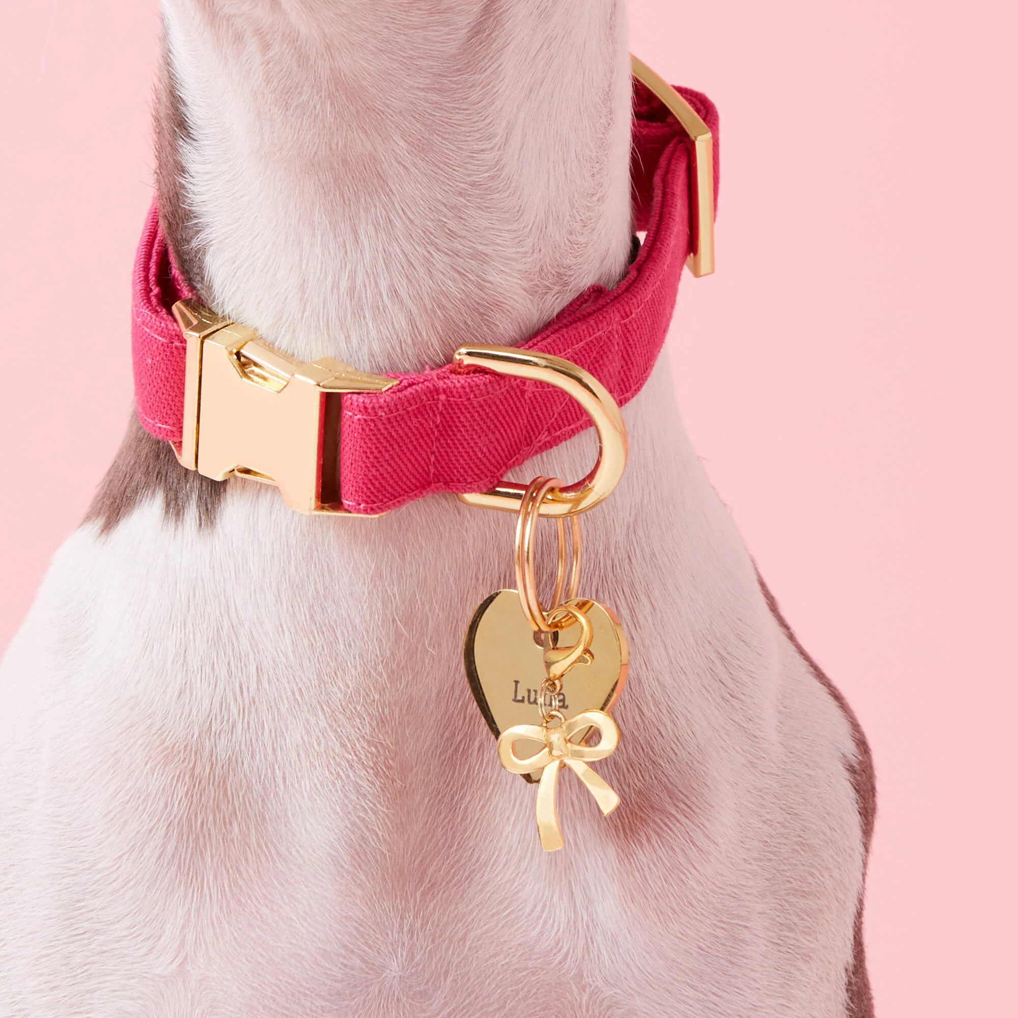 Hot Pink Dog Collar - Image 7