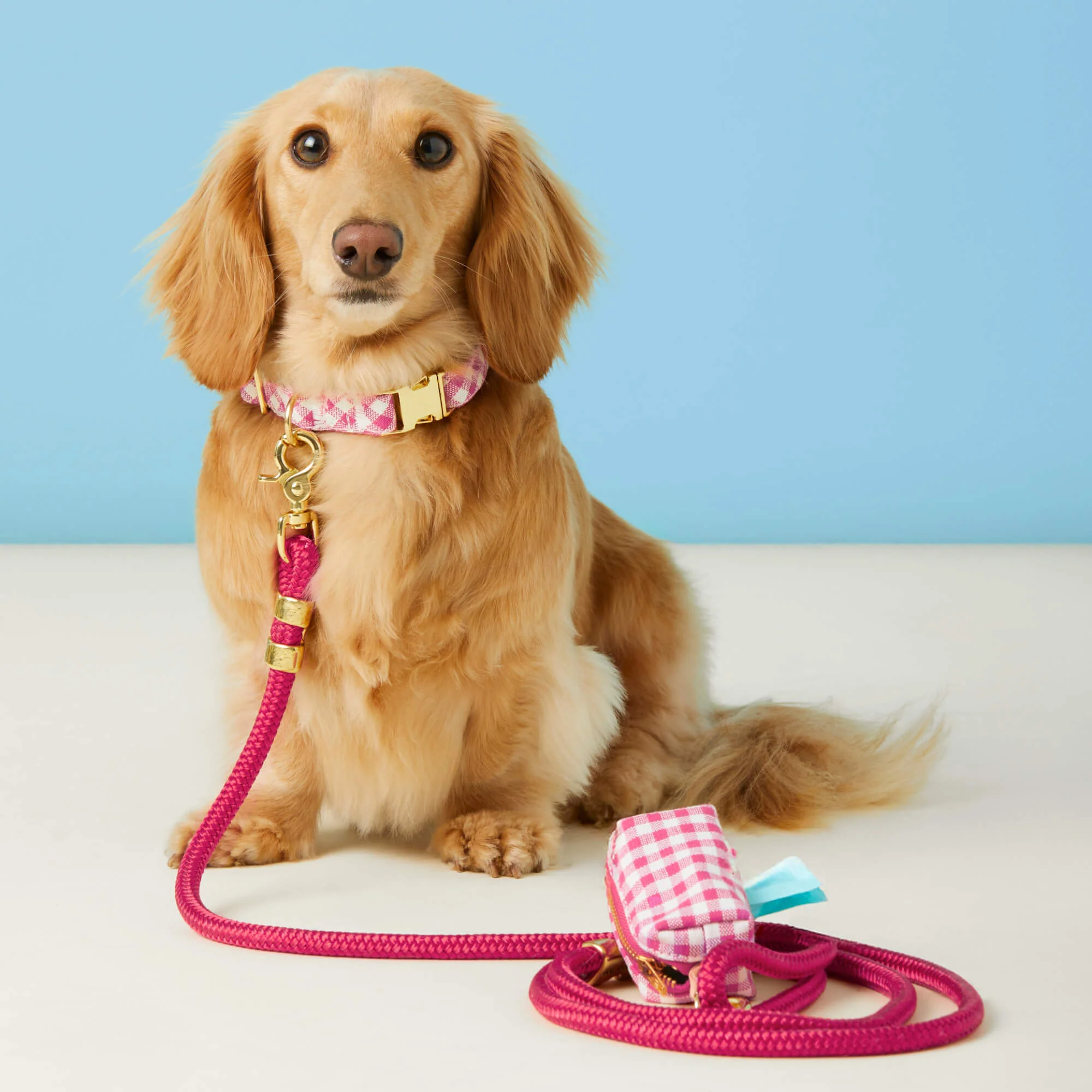 Hot Pink Gingham Collar Walk Set - Image 4