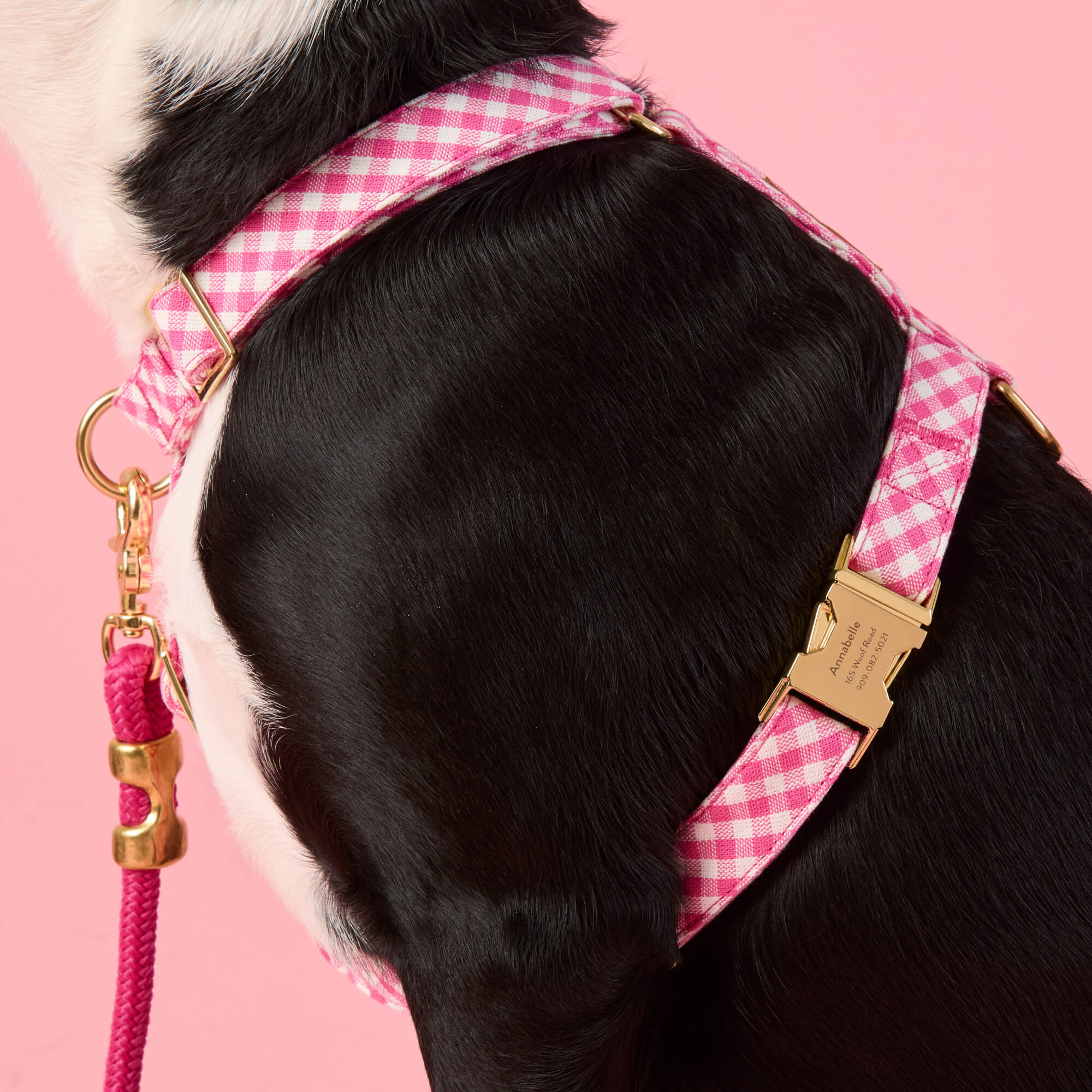 Hot Pink Gingham Dog Harness - Image 4