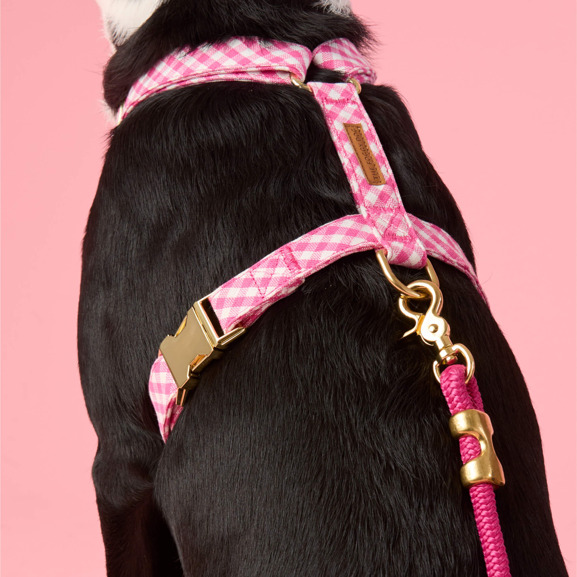 Hot Pink Gingham Dog Harness - Image 5