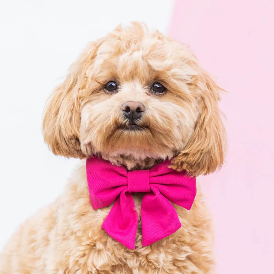 Hot Pink Lady Dog Bow - Image 4
