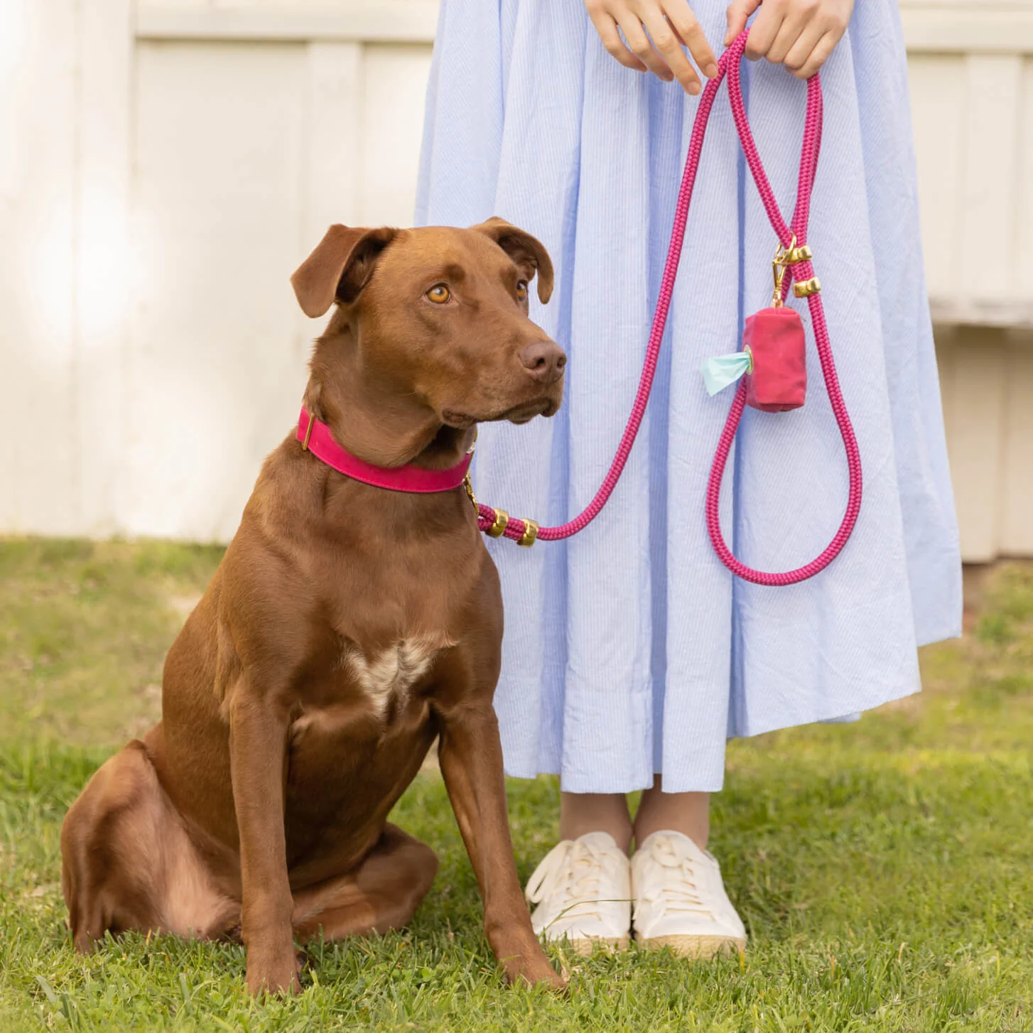 Hot Pink Marine Rope Dog Leash - Image 5