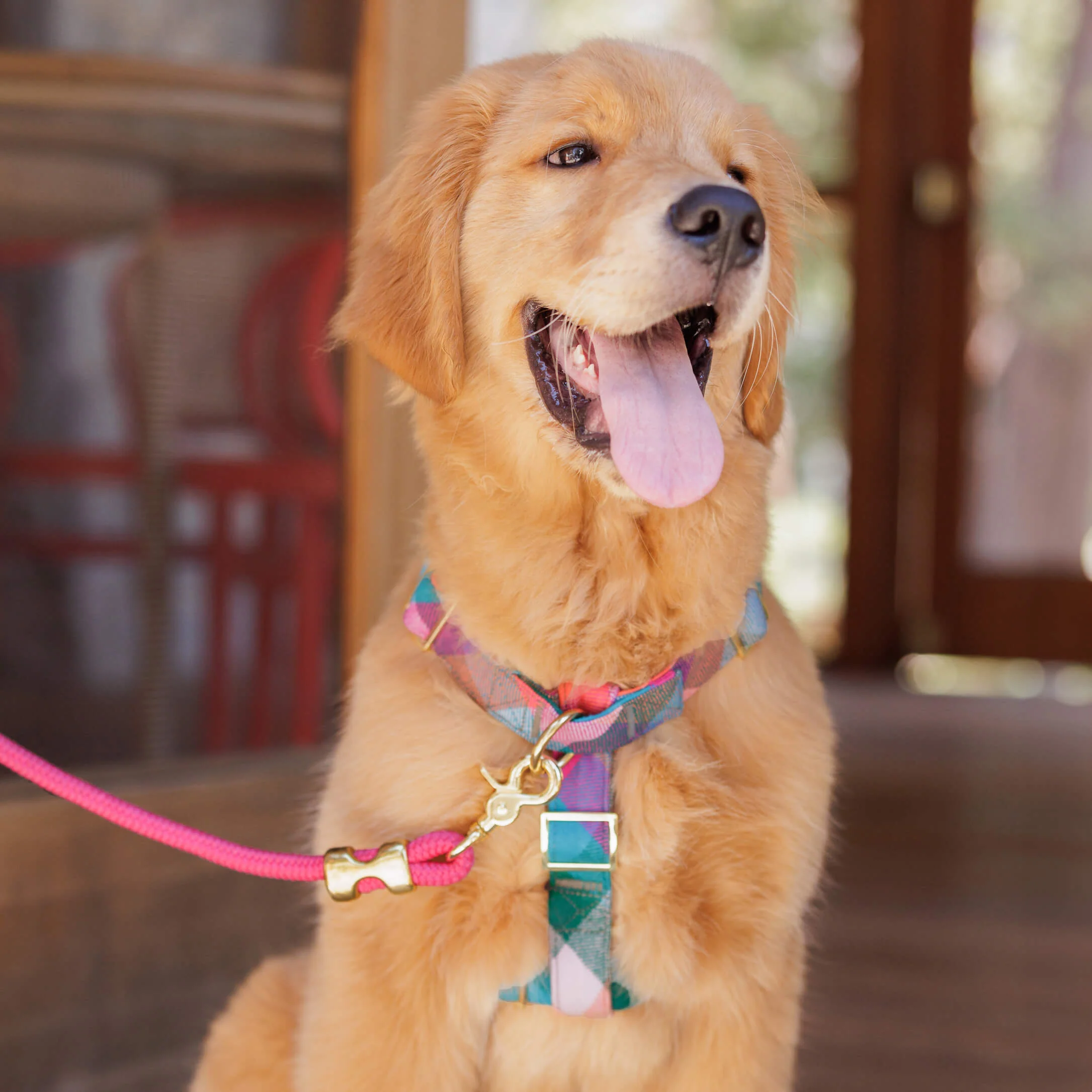 Hot Pink Marine Rope Dog Leash - Image 6