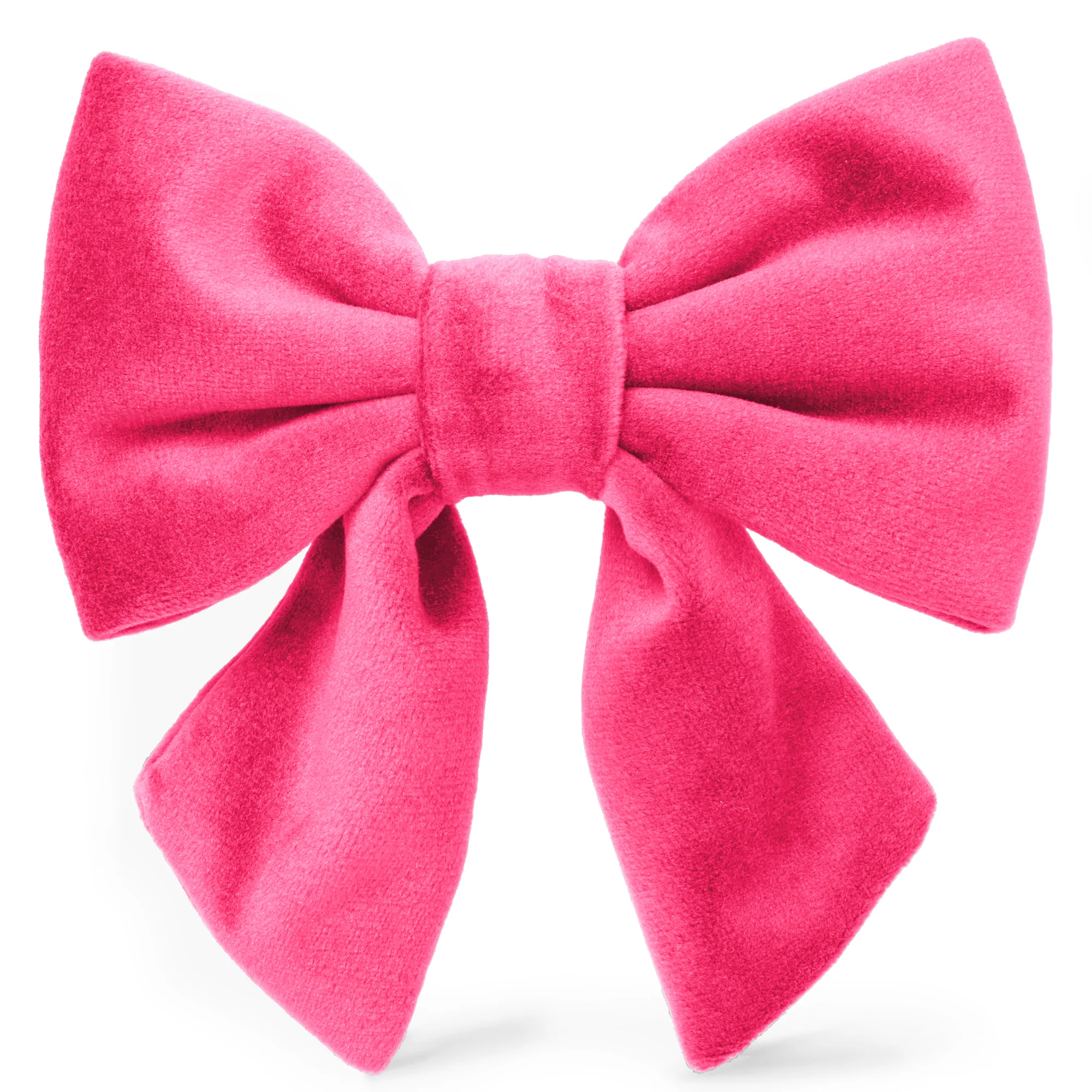 Hot Pink Velvet Lady Dog Bow - Image 2