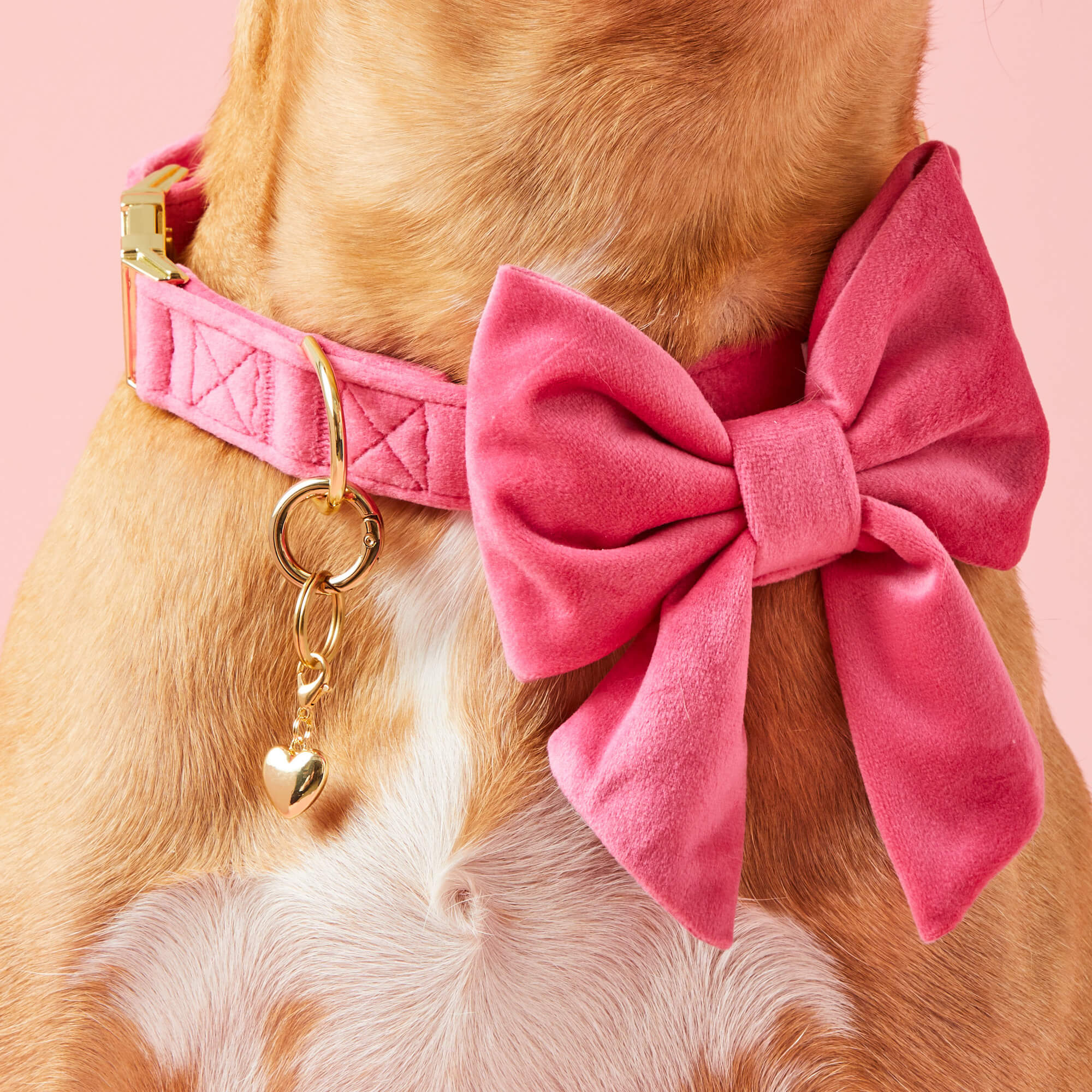 Hot Pink Velvet Lady Dog Bow - Image 6