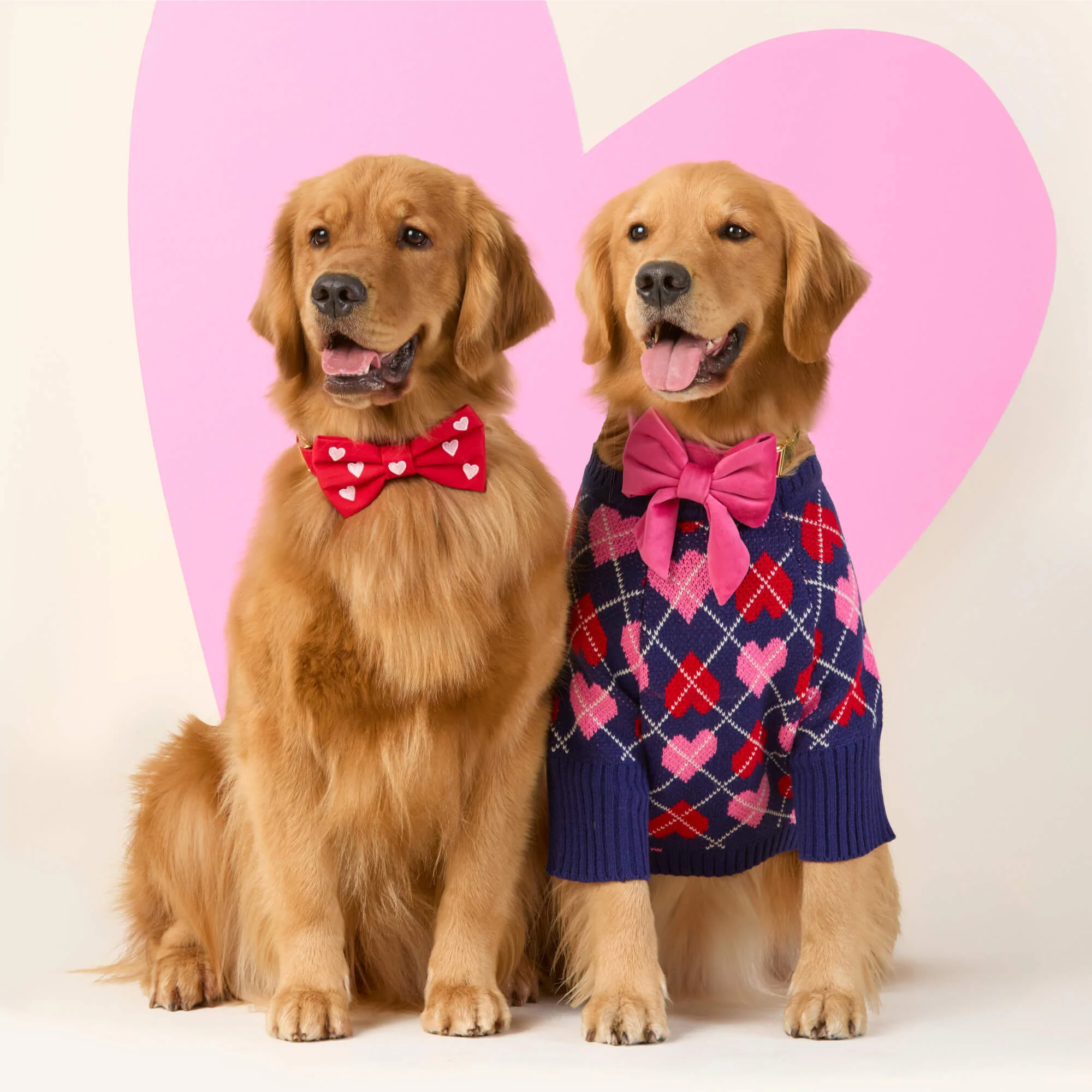 Hot Pink Velvet Lady Dog Bow - Image 7