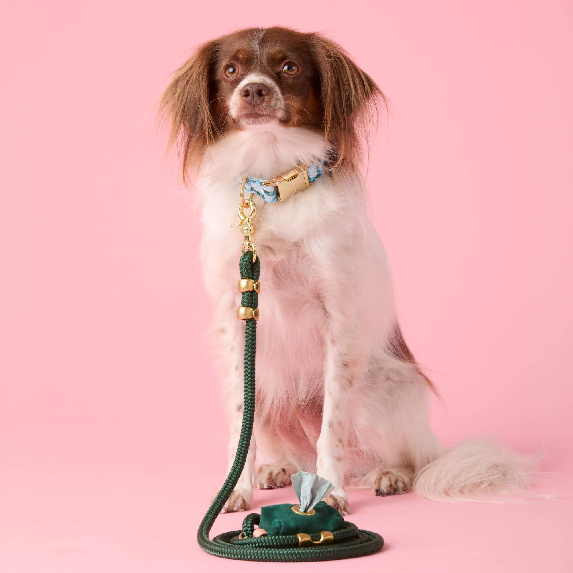 Hydrangea Collar Walk Set - Image 4