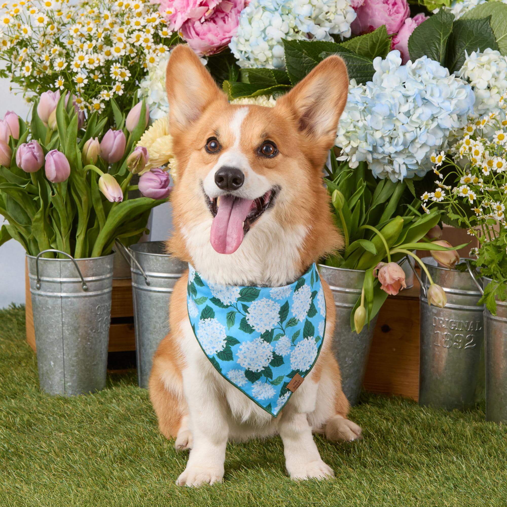 Hydrangea Dog Bandana - Image 2