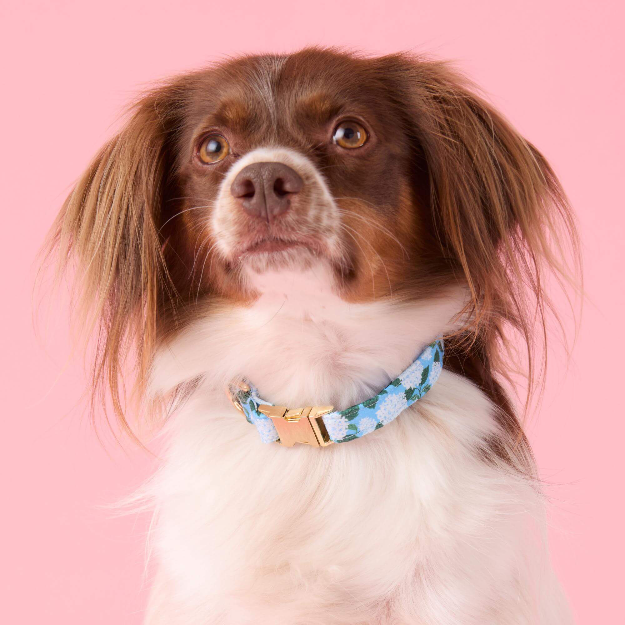 Hydrangea Dog Collar - Image 4