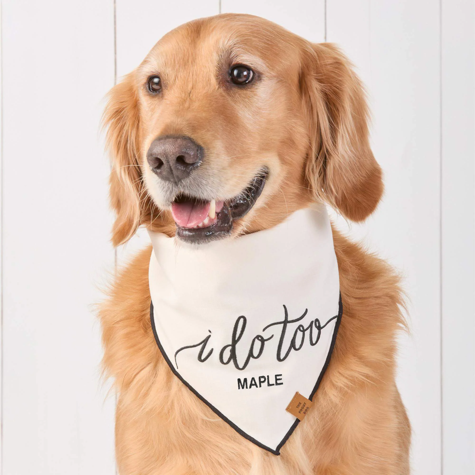 I Do Too Embroidered Dog Bandana - Image 3