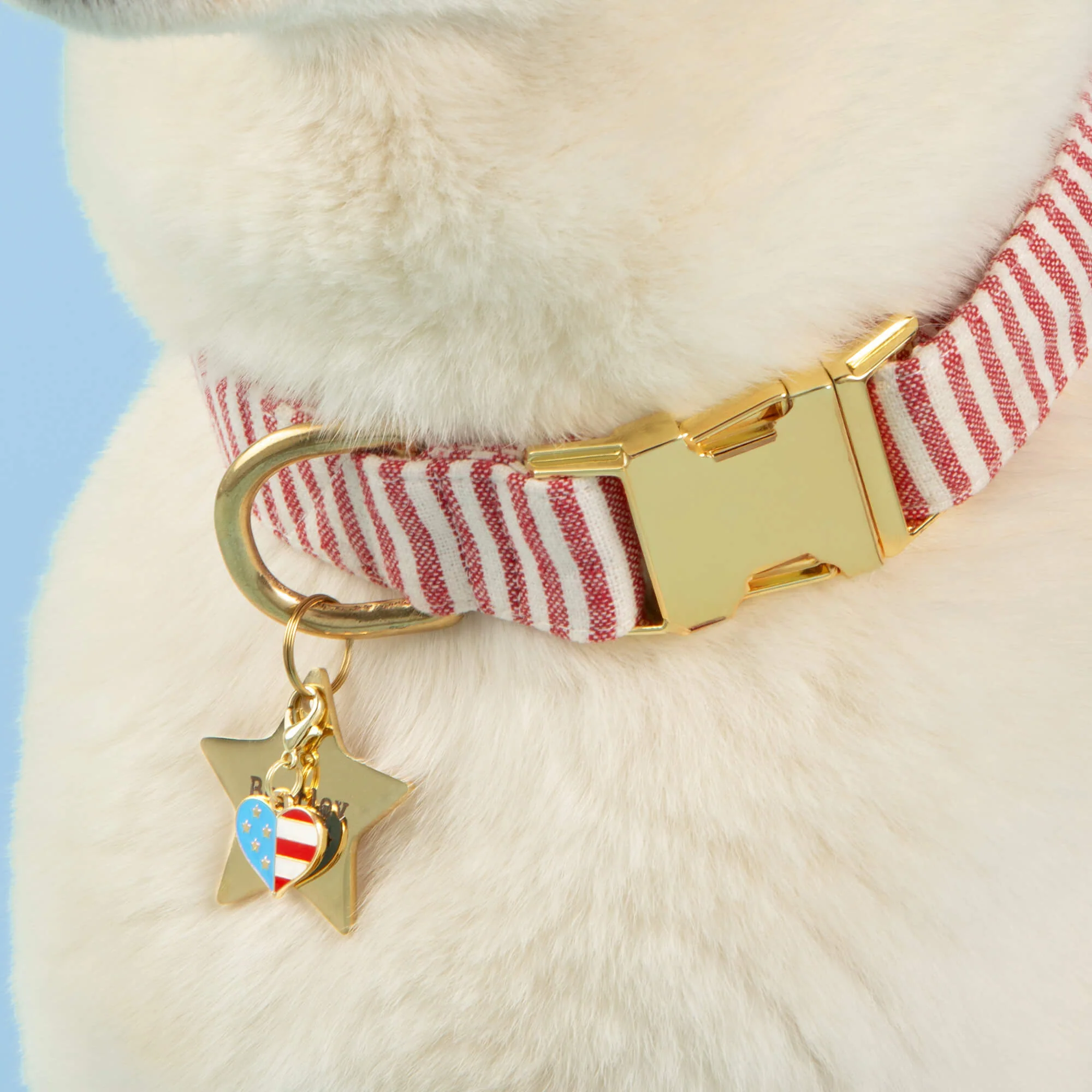 I Heart America Collar Charm - Image 3