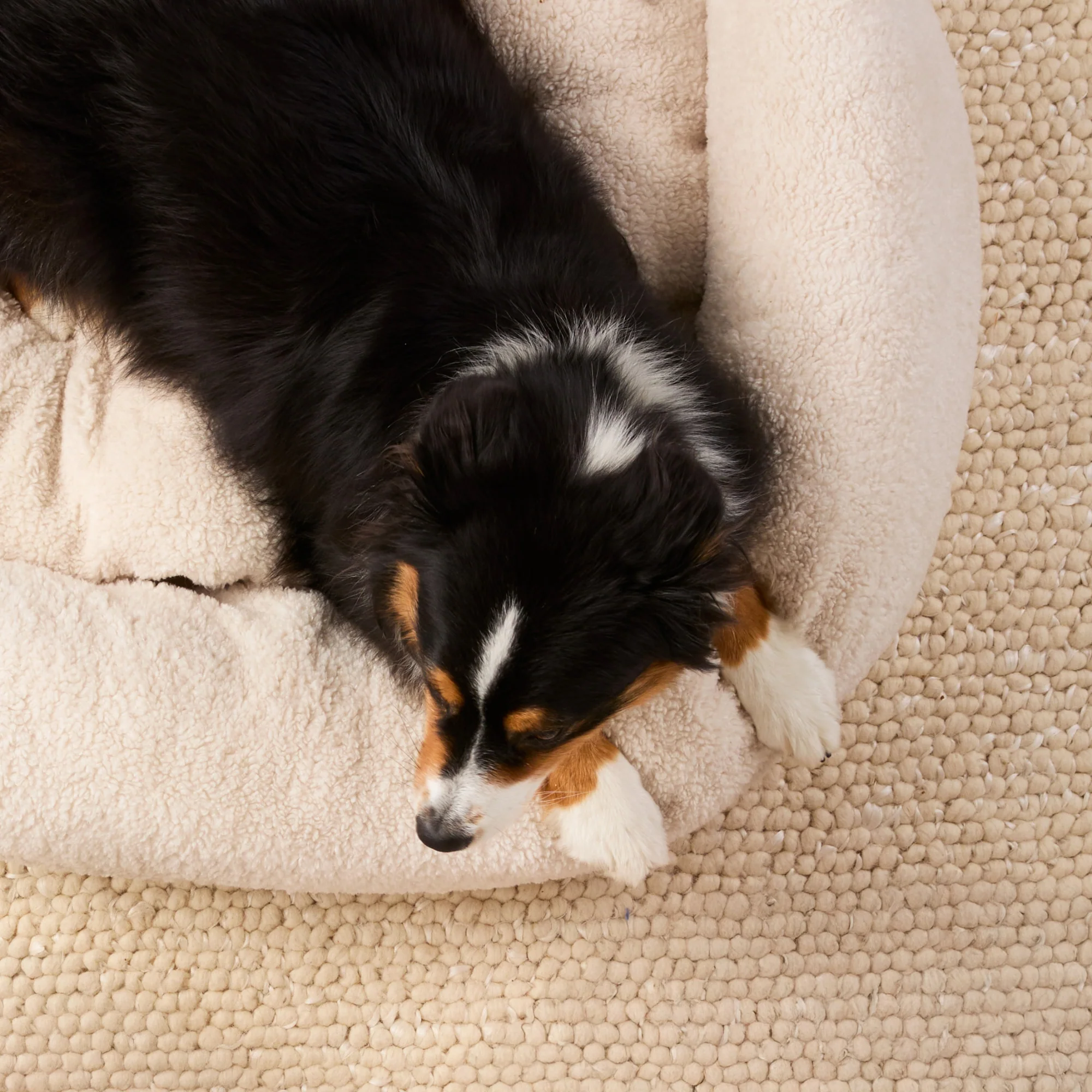 Ivory Recycled Sherpa Bolster Dog Bed - Image 10