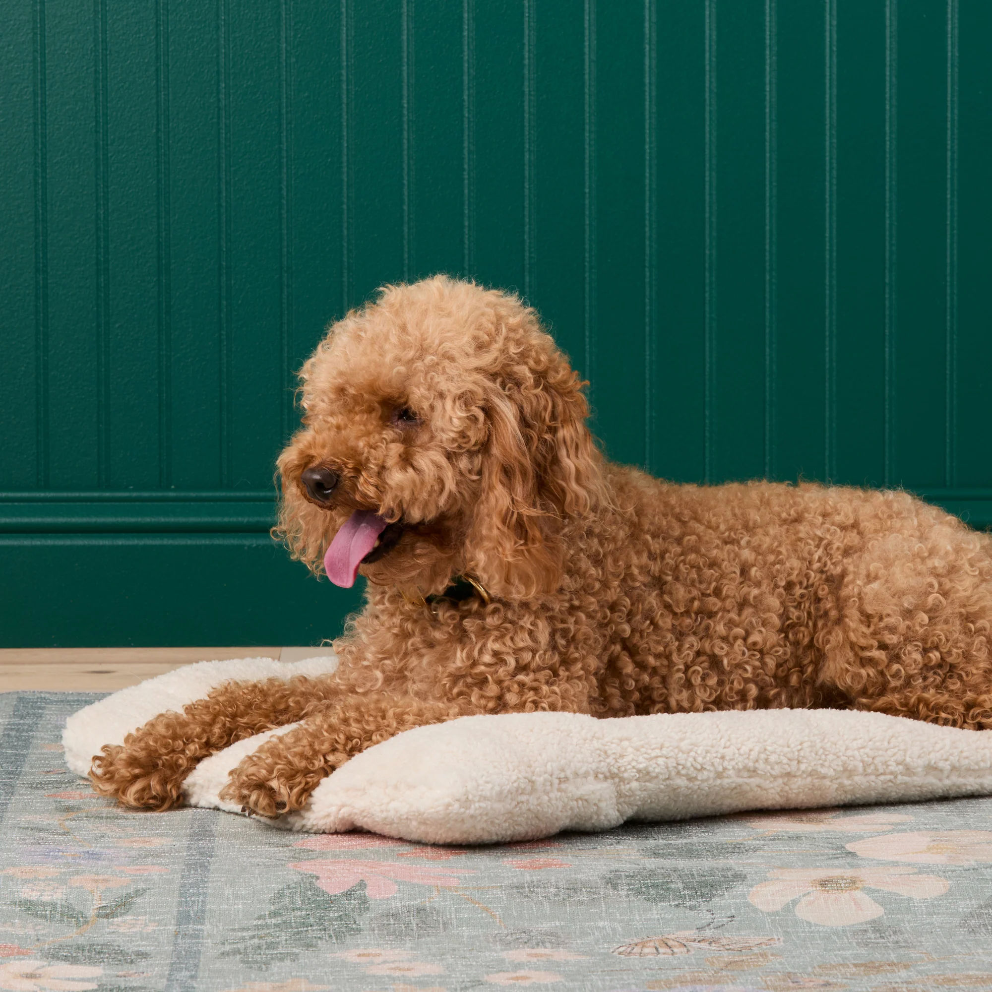 Ivory Recycled Sherpa Bolster Dog Bed - Image 8
