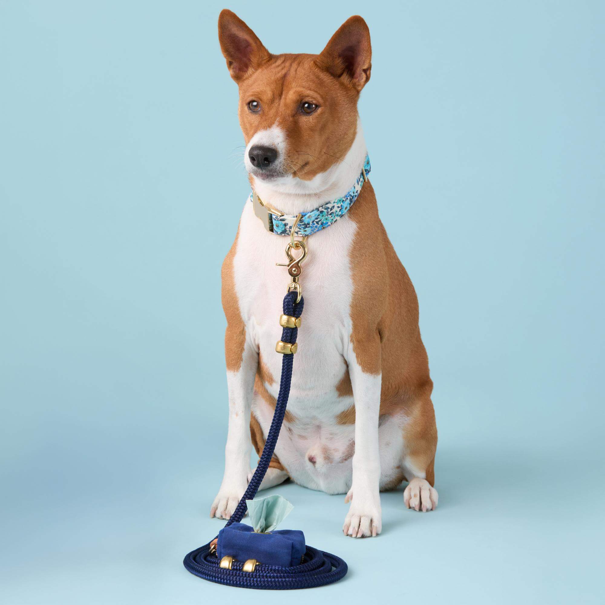 Jardin Collar Walk Set - Image 4
