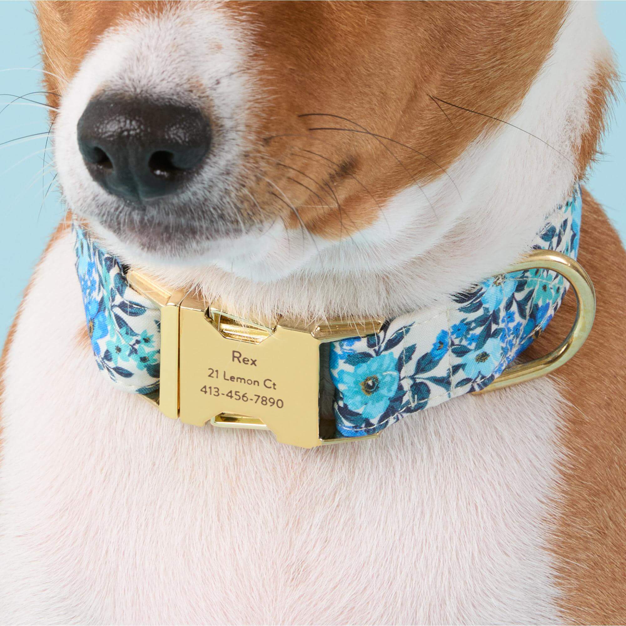 Jardin Dog Collar - Image 5