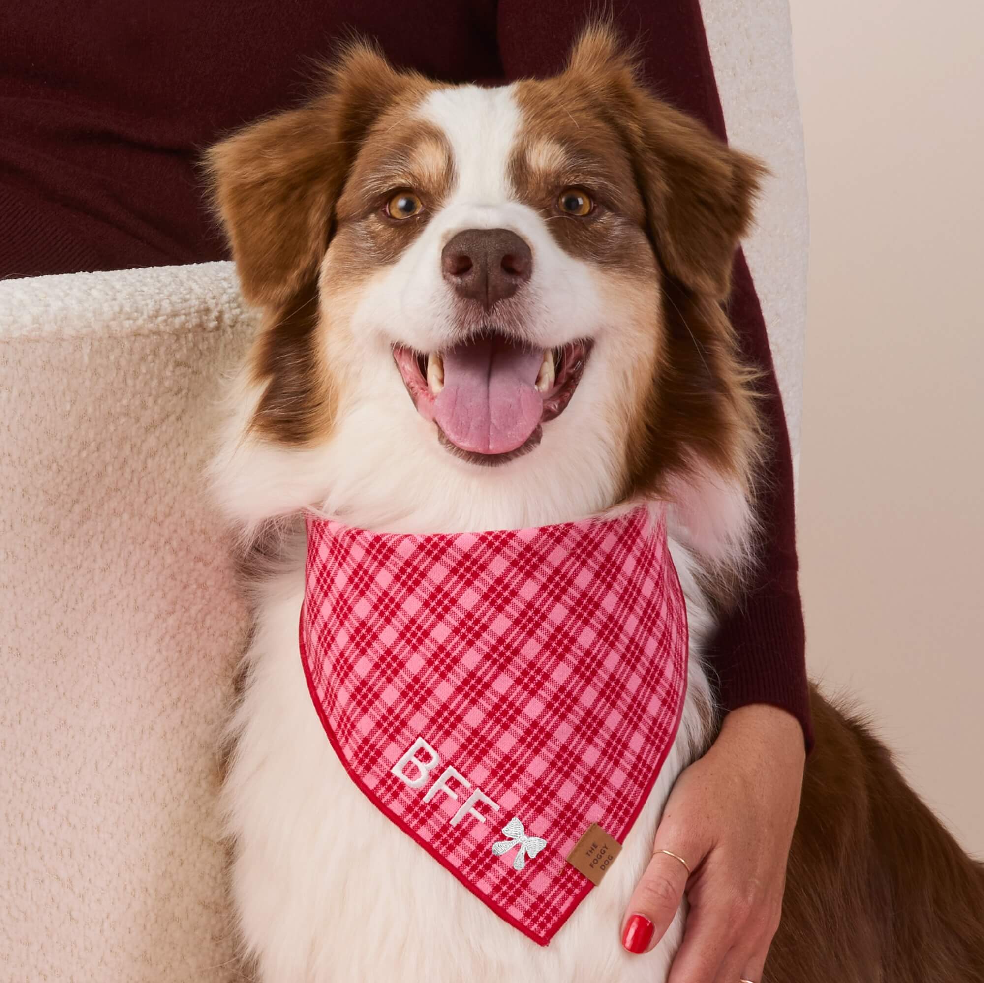 Heather Taylor Home x TFD Katherine Plaid Valentine Dog Bandana - Image 4