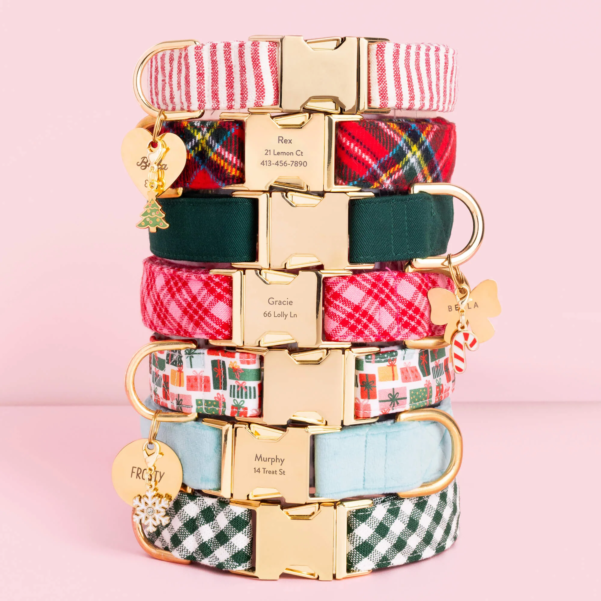 Evergreen Dog Collar - Image 8